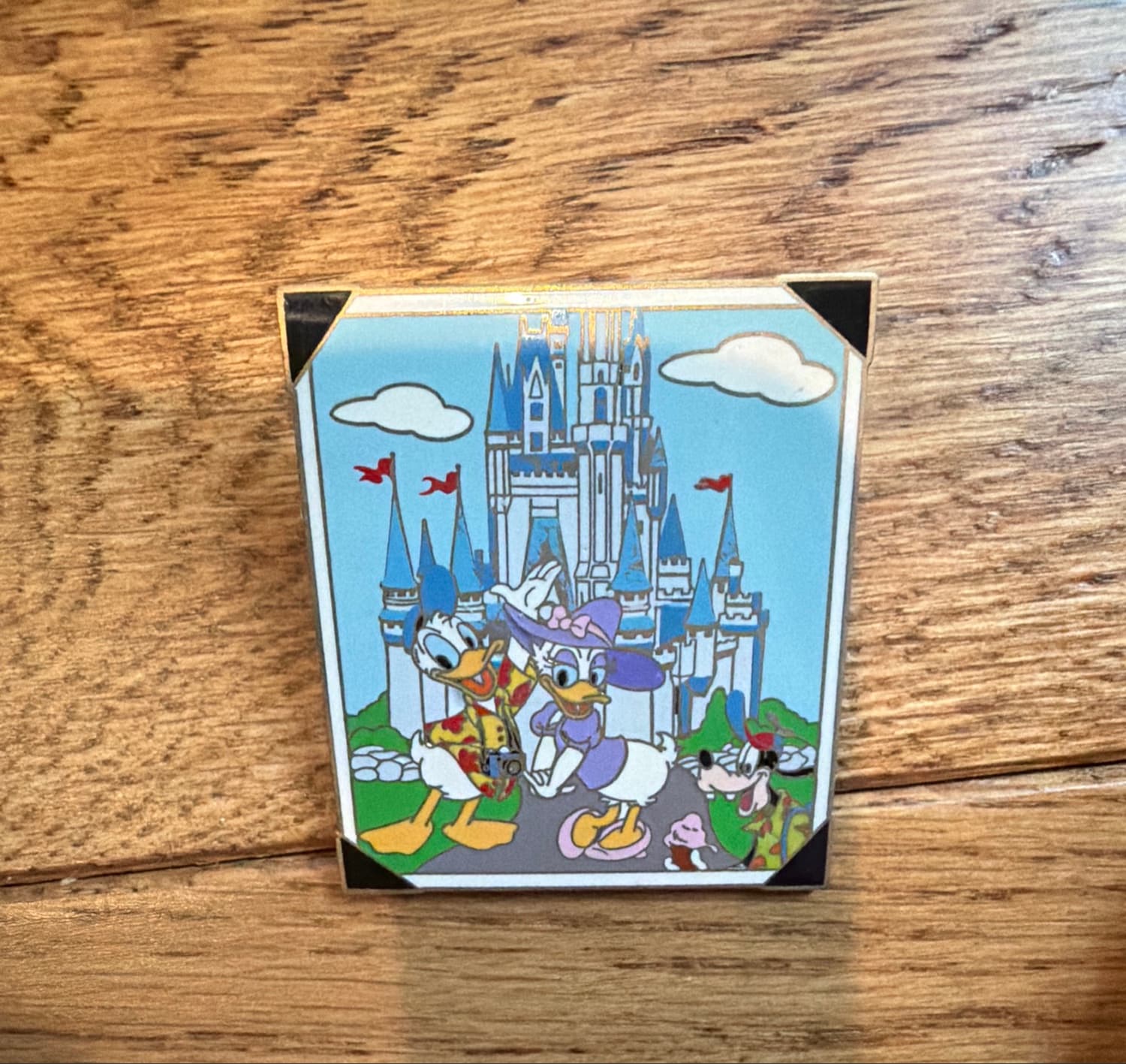 Summer Vacation 2003 Magic Kingdom Donald Daisy Goofy Castle Photo Pin front