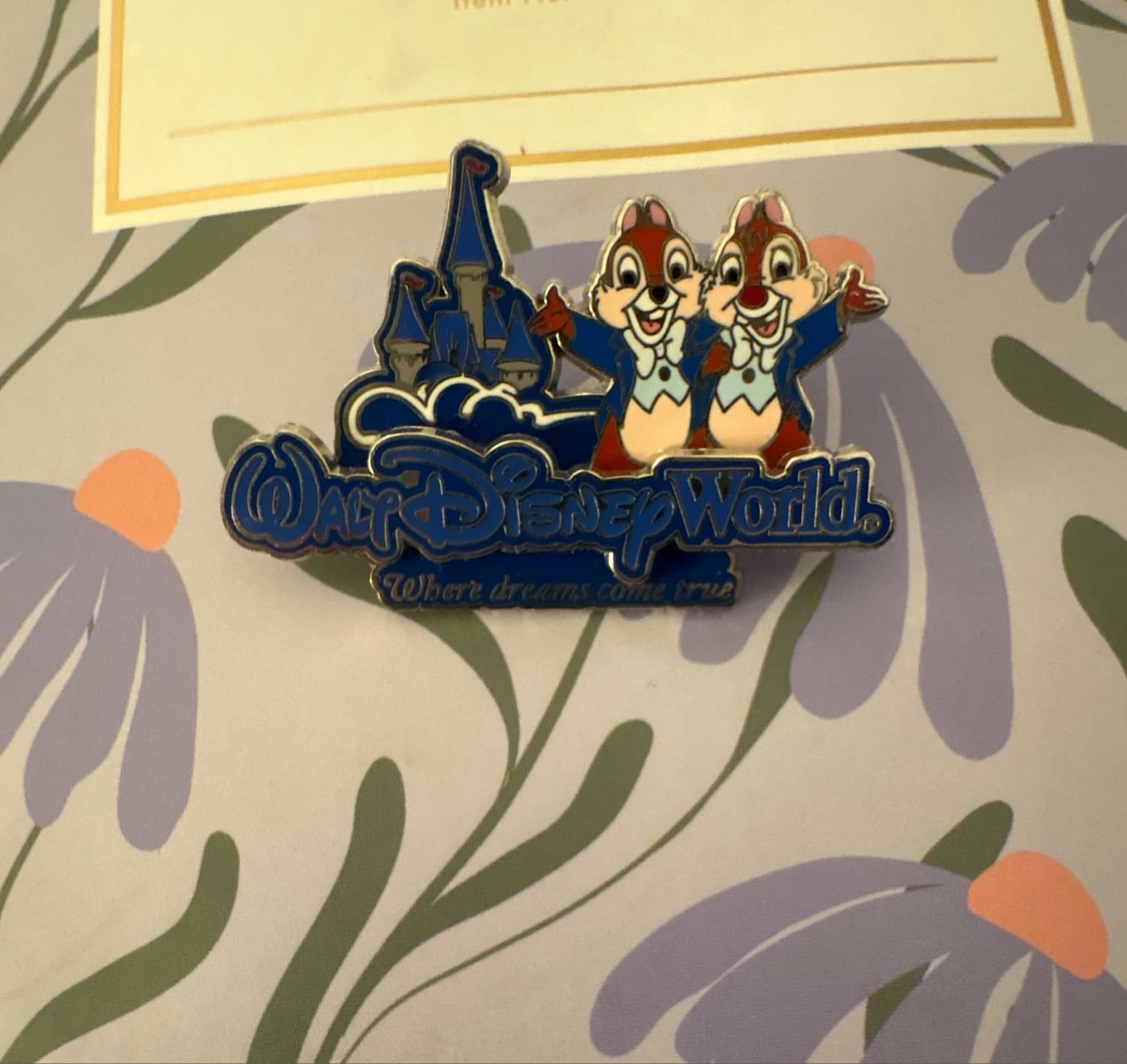 Chip & Dale WDW front