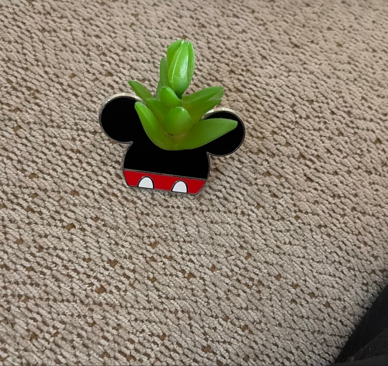 Mickey Mouse Succulent Pin front