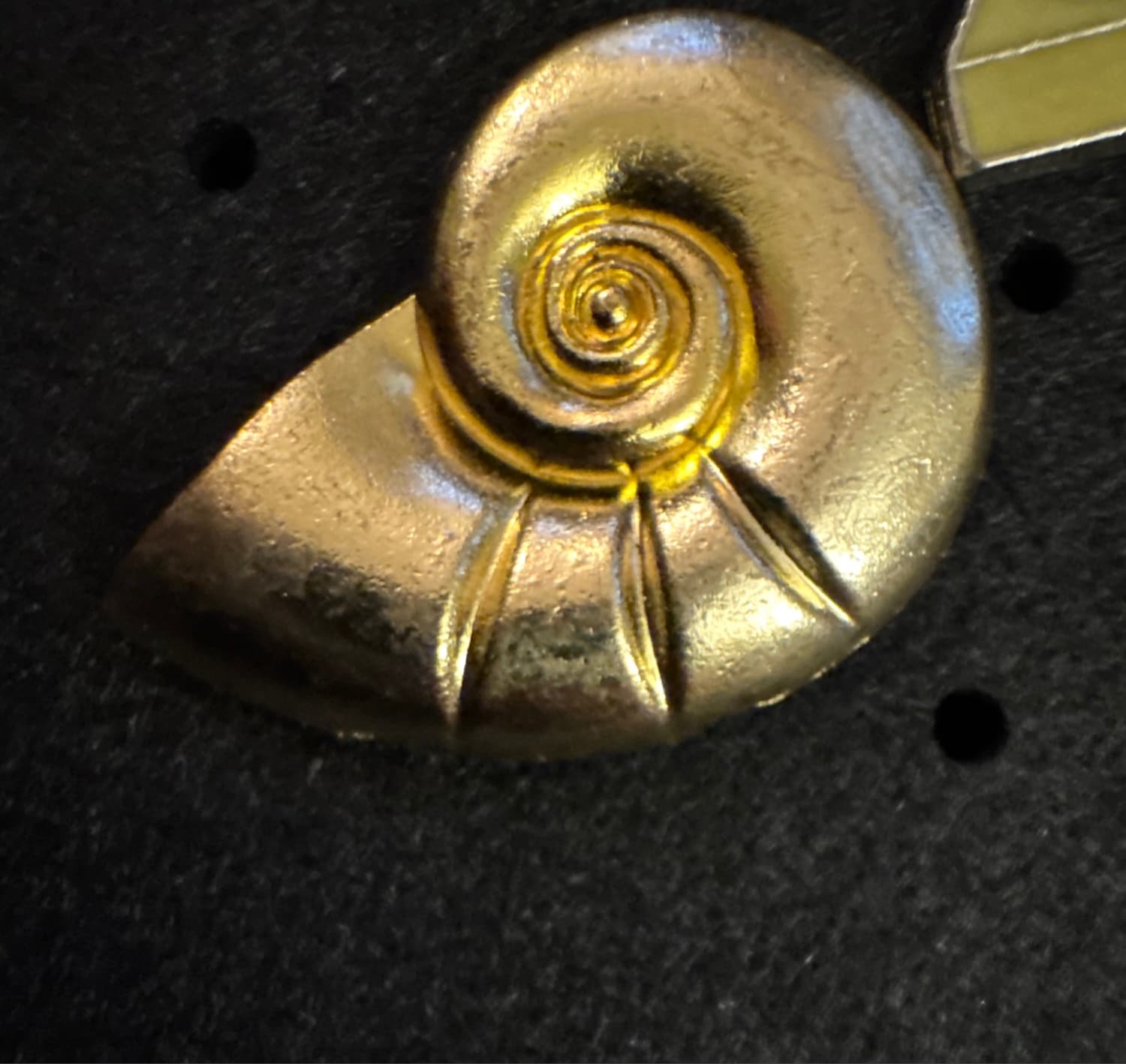 Ariel's Golden Nautilus Shell front