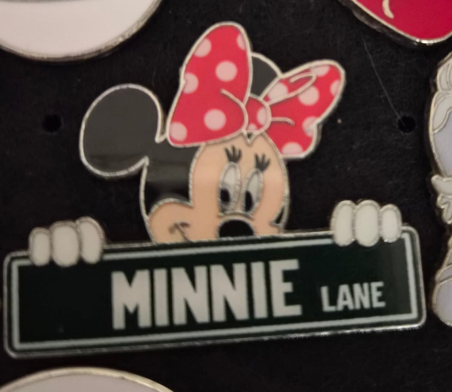 Minnie Lane Street Sign front