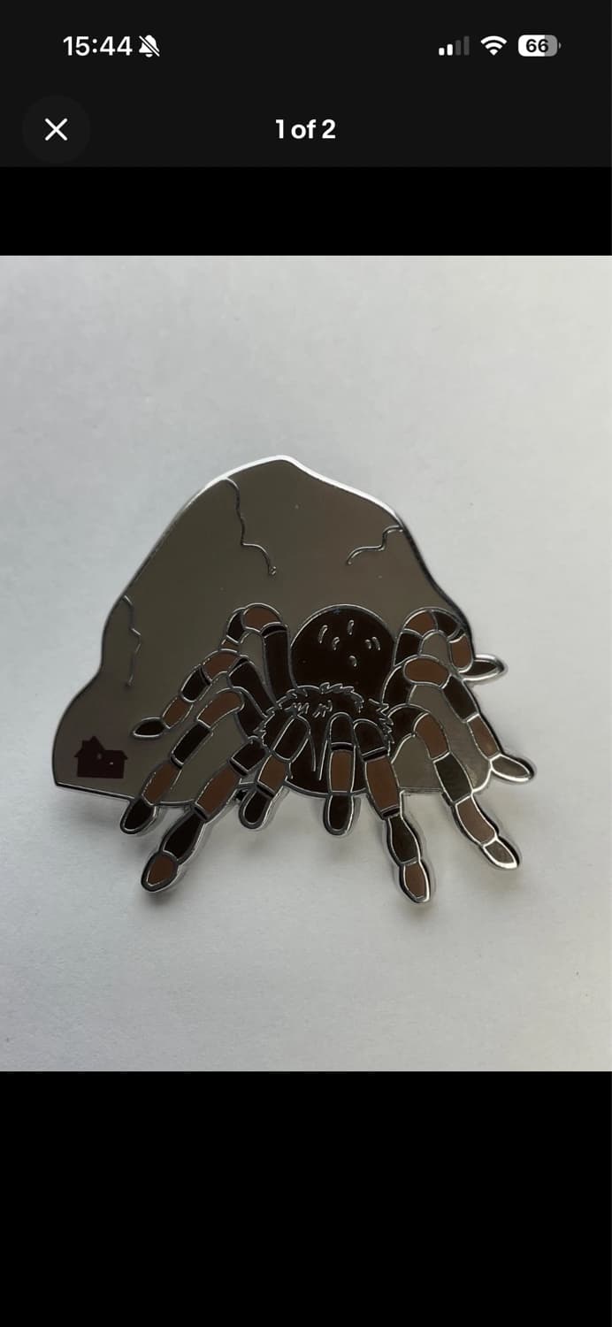 Hidden Mickey 2016 Tarantula Pin front