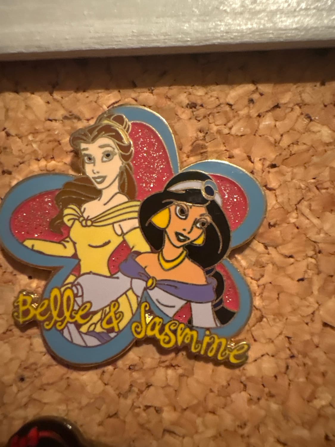 Pin Trading Starter Kit (Princesses) Belle & Jasmine front