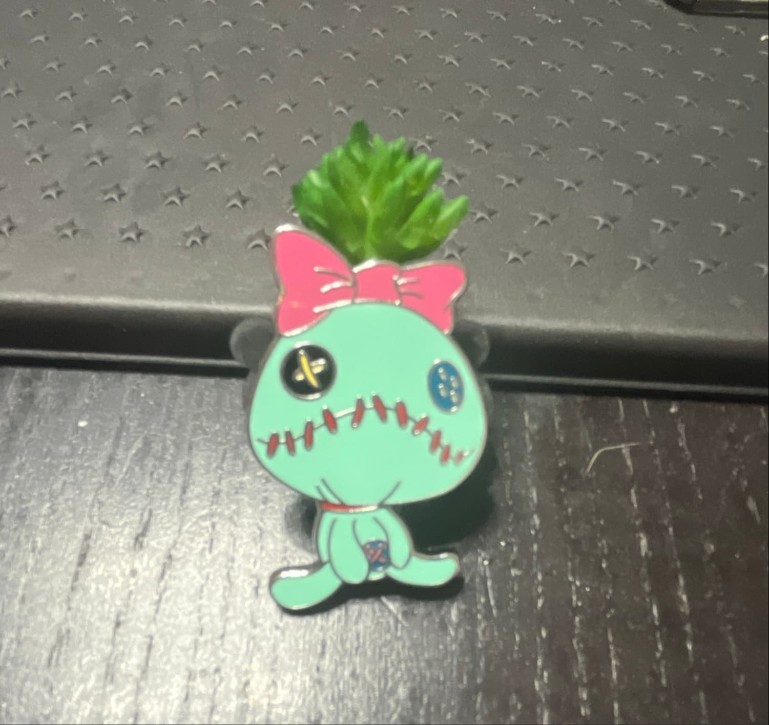 Lilo & Stitch (Scrump) Succulent front