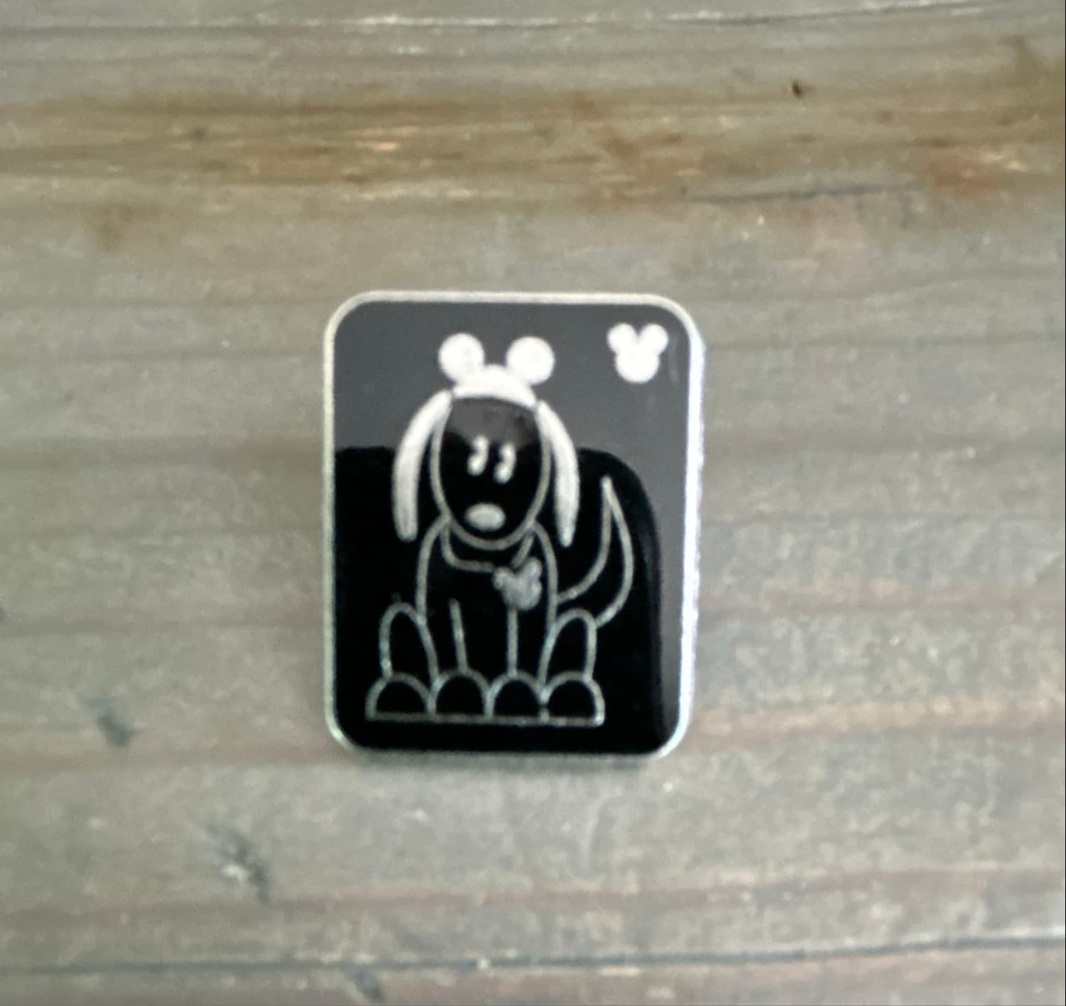 Family Dog with Mouse Ears front