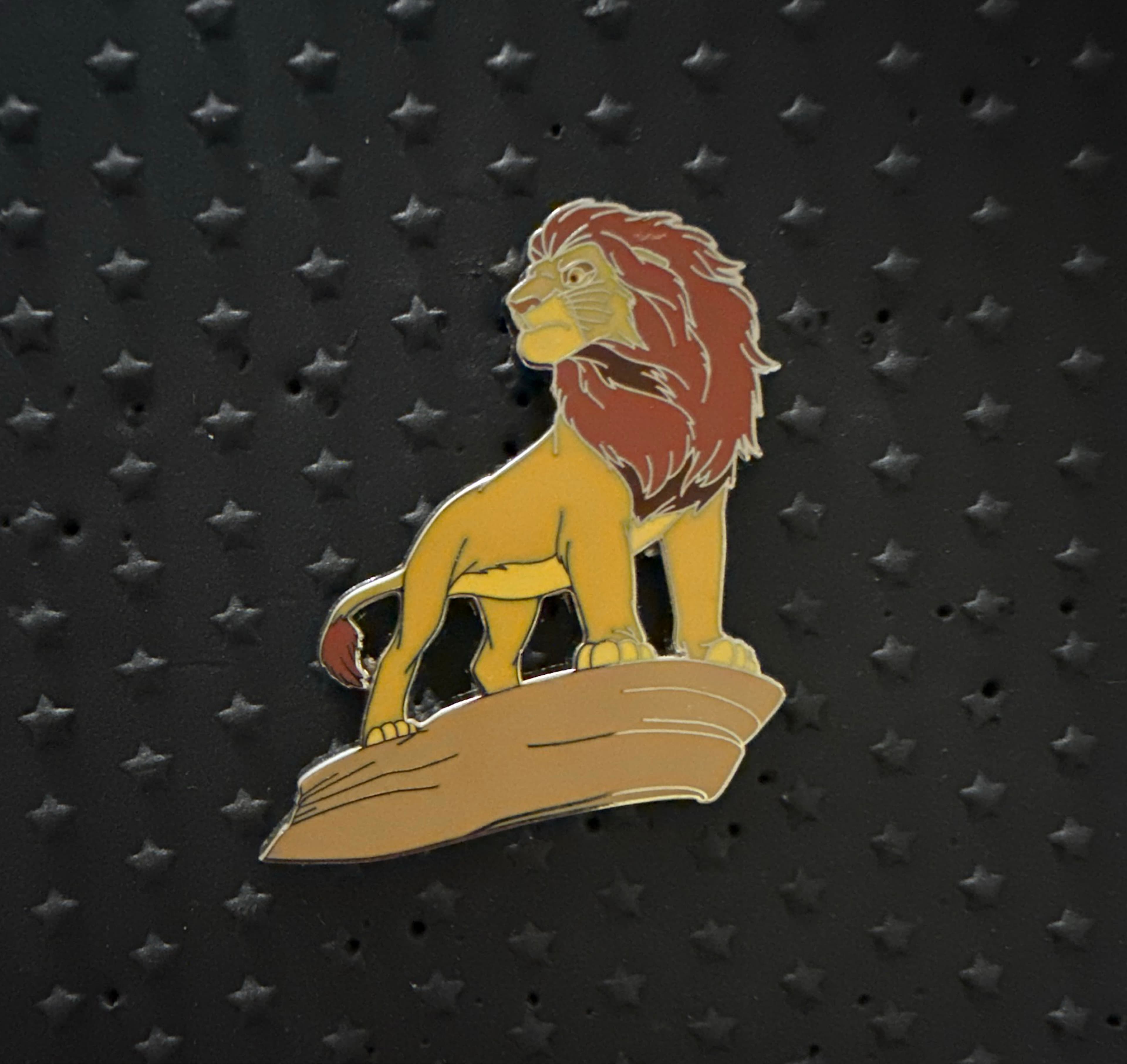 Simba on Rock - The Lion King 30th Anniversary front