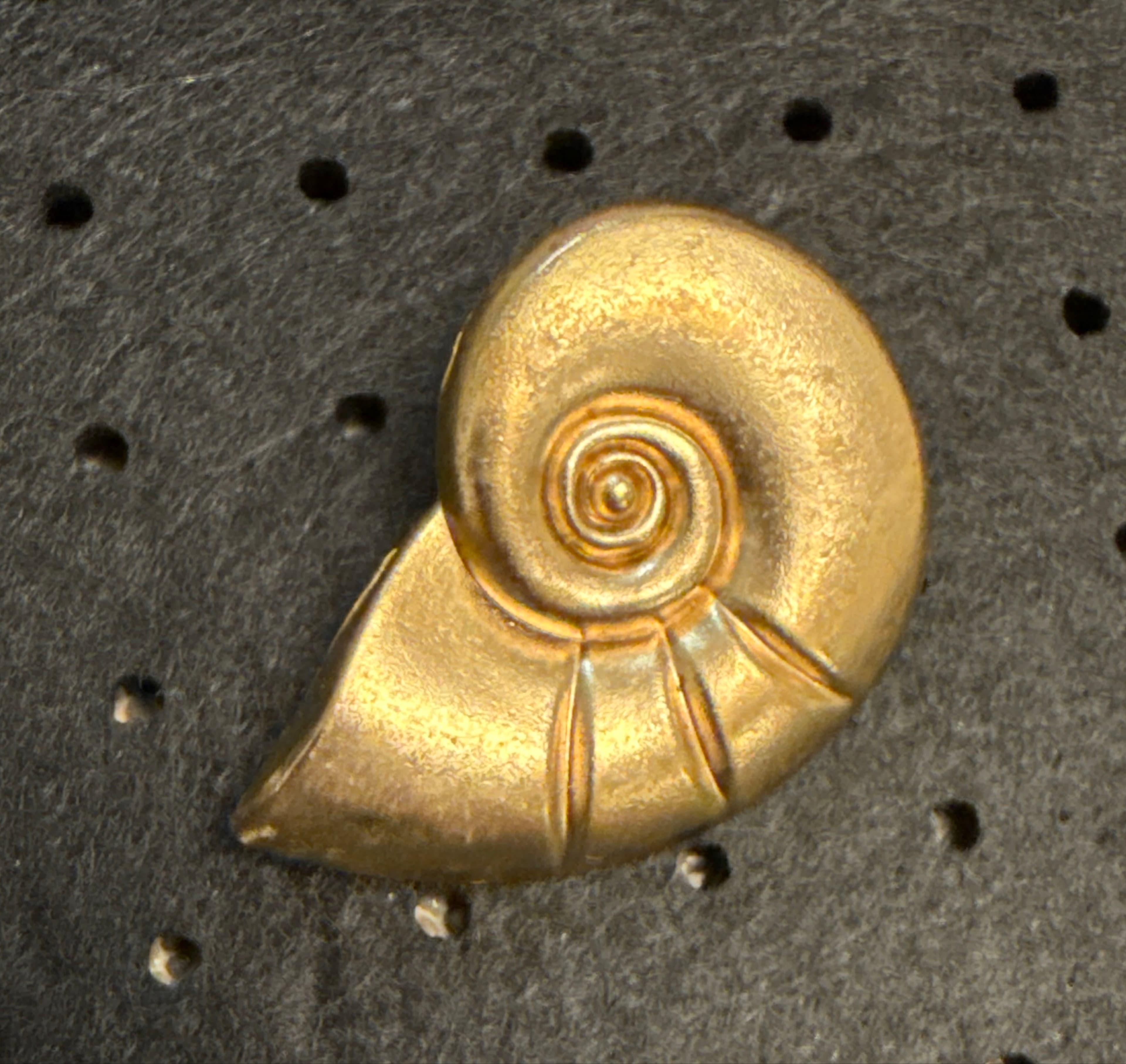 Ursula's Shell front