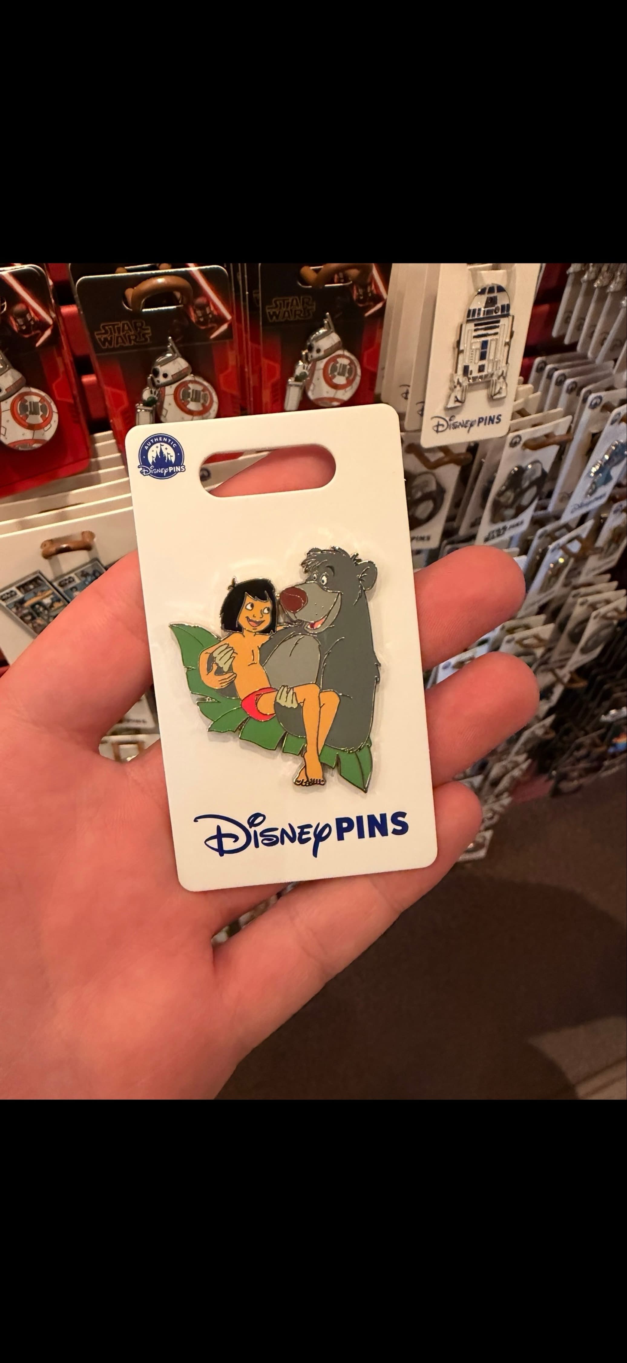 Mowgli and Baloo - The Jungle Book front