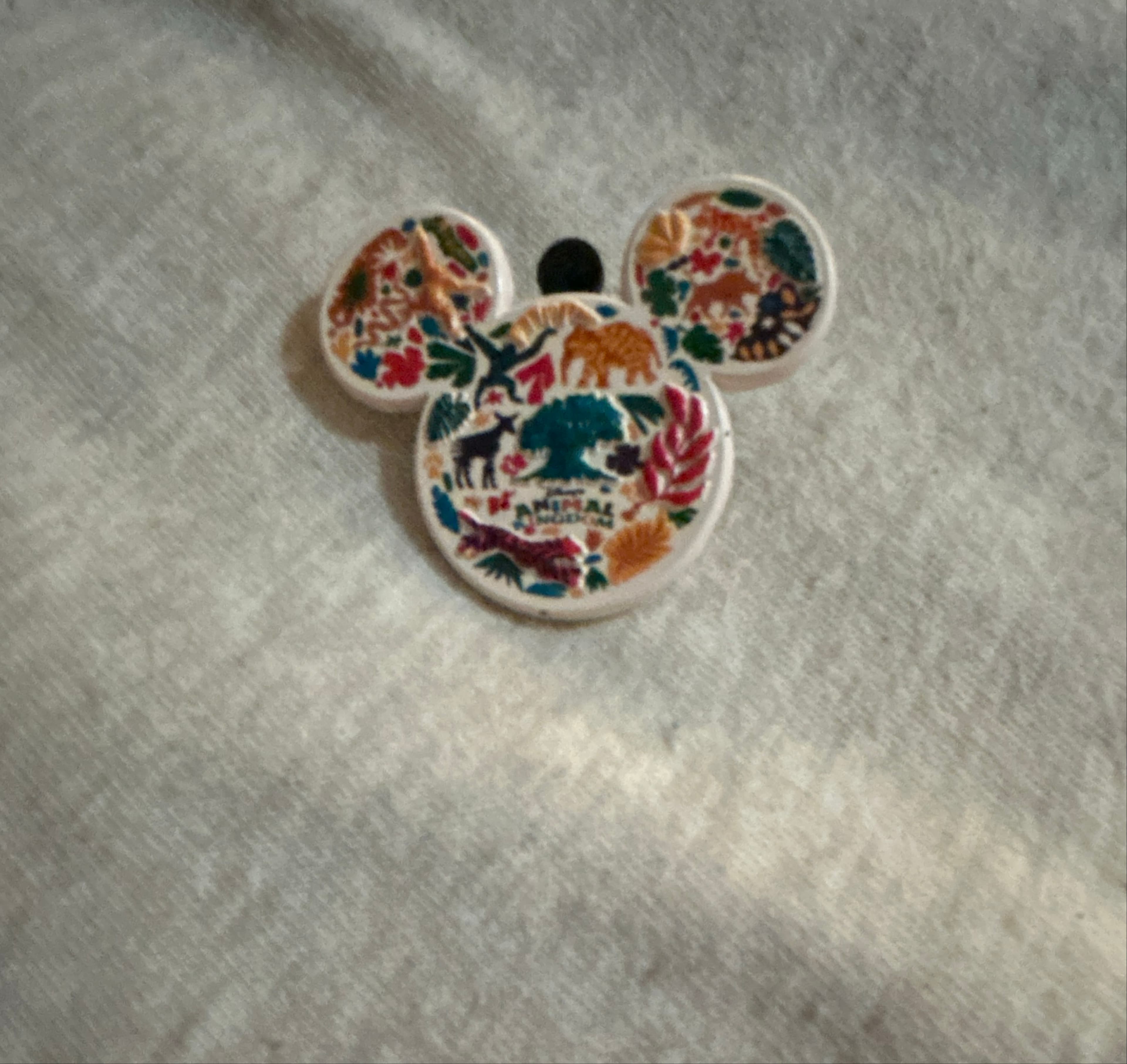 Colorful Animal Kingdom Mickey-Head Icon Pin front