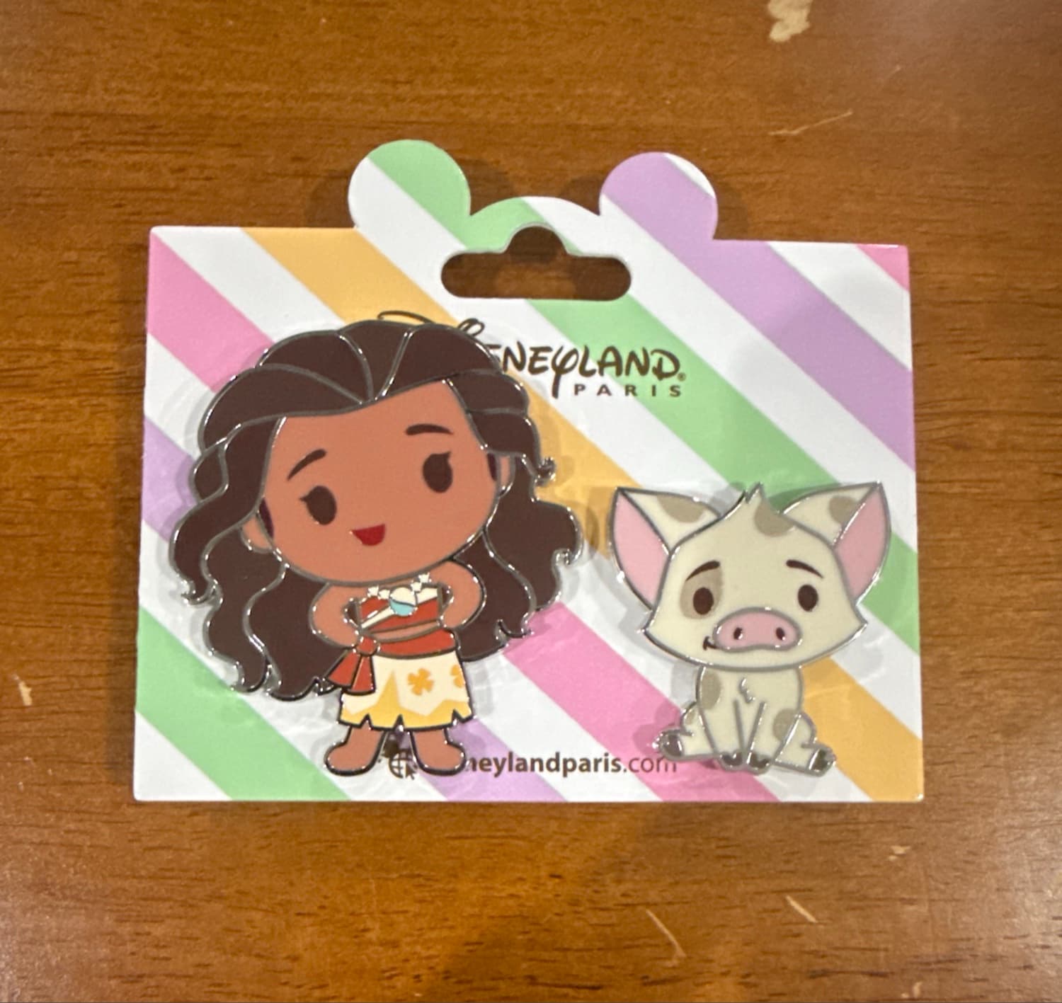 Moana & Pua Pin Set front