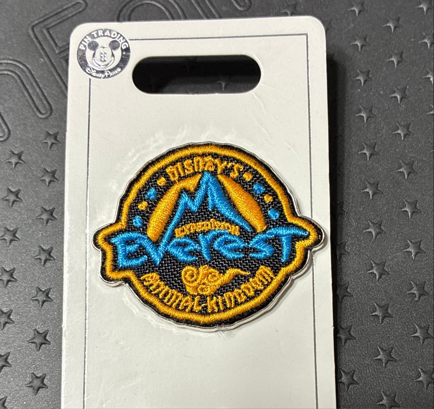 Disney Pin - Expedition Everest Animal Kingdom Logo front