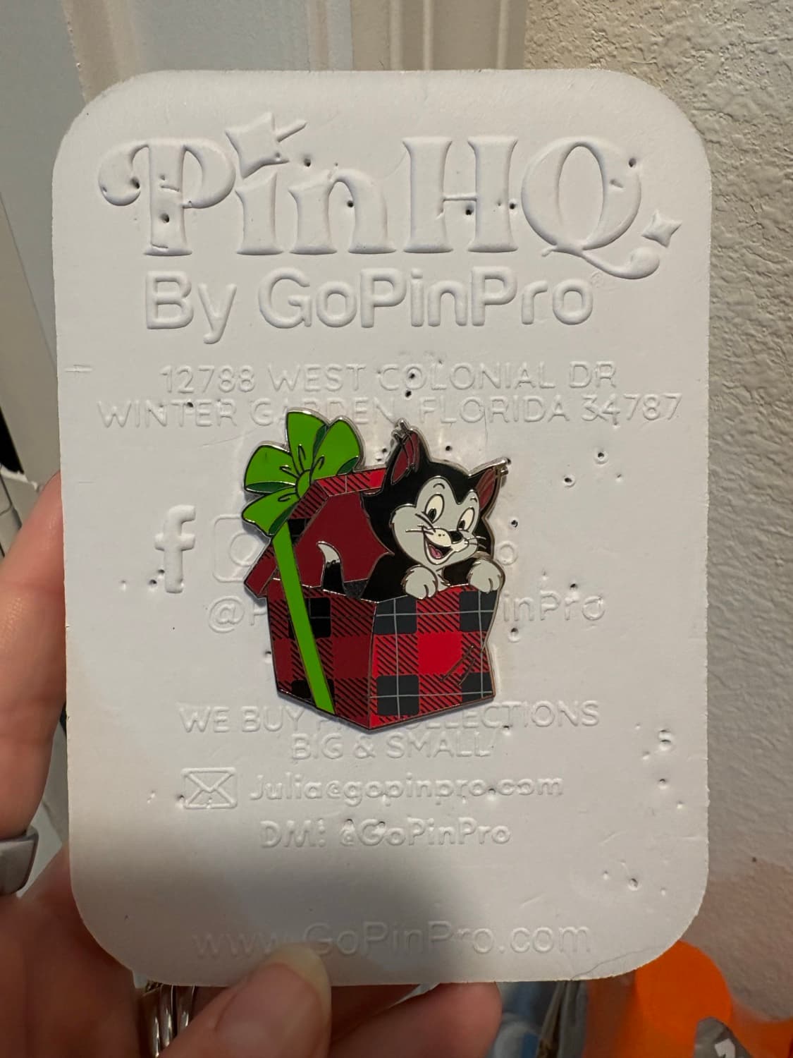 Figaro with Christmas gift front