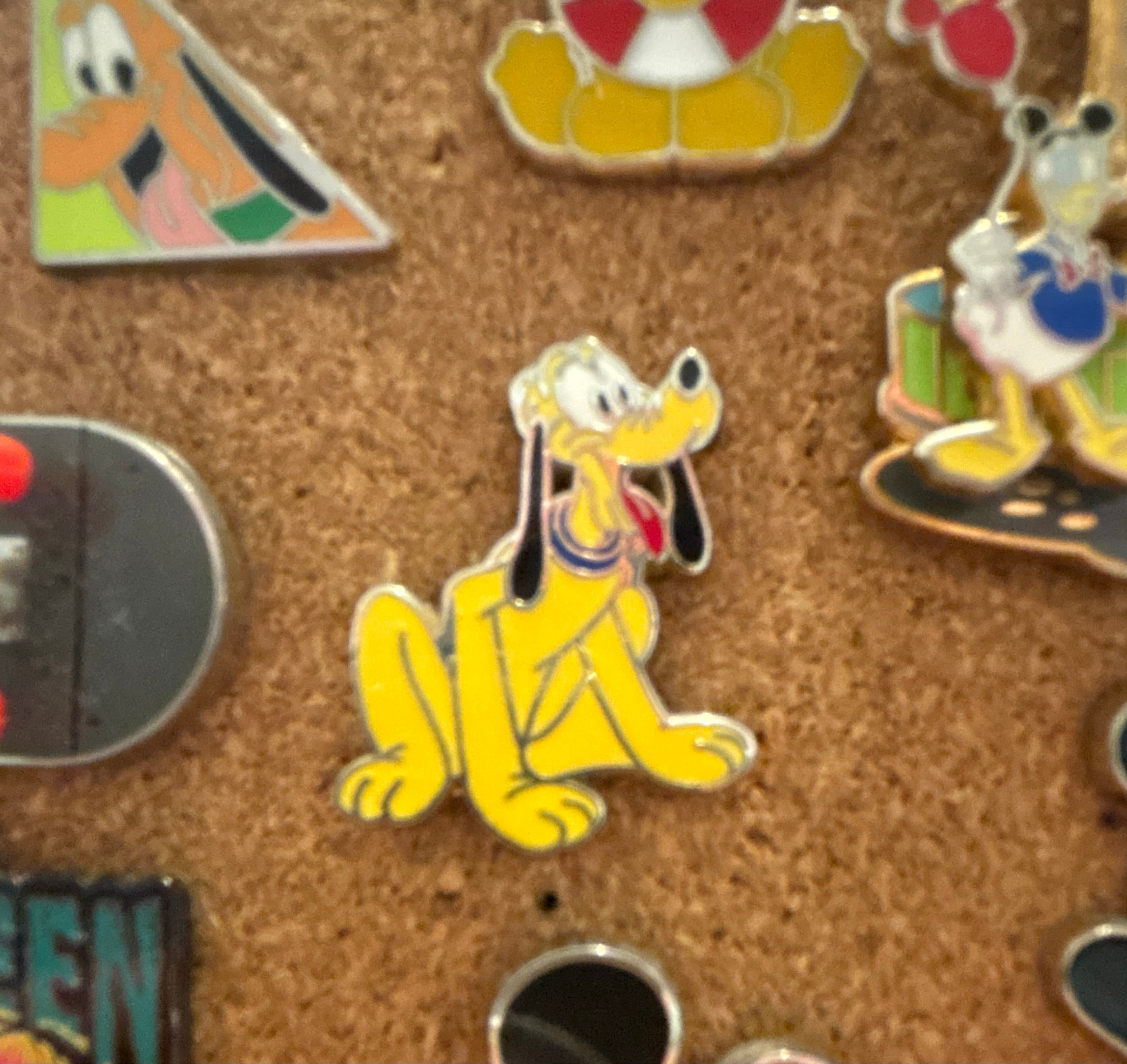 Pluto Sitting with Blue Collar front