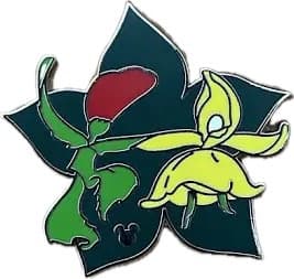 Red Rose and Yellow Flower front