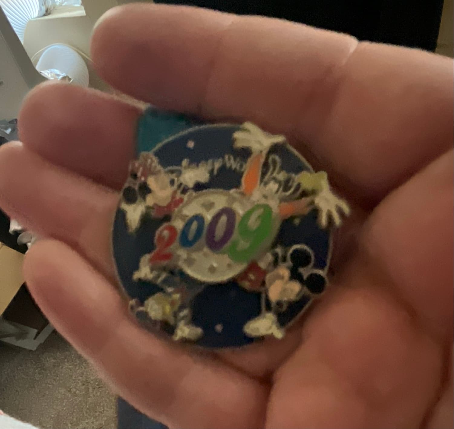 Mickey & Friends 2009 Dated Pin - Walt Disney World front
