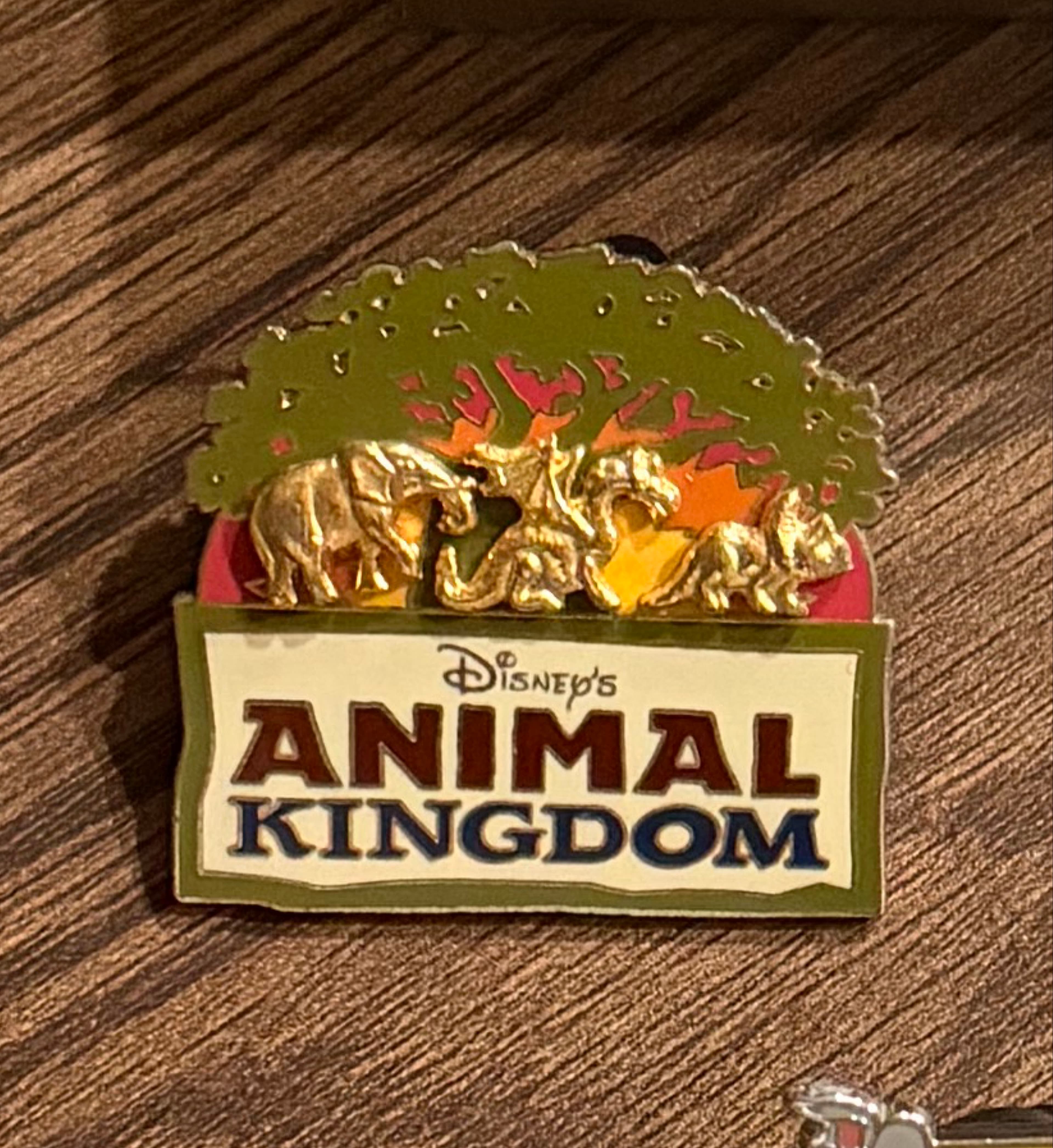 Disney's Animal Kingdom Logo - Elephant, Dragon and Dinosaur front