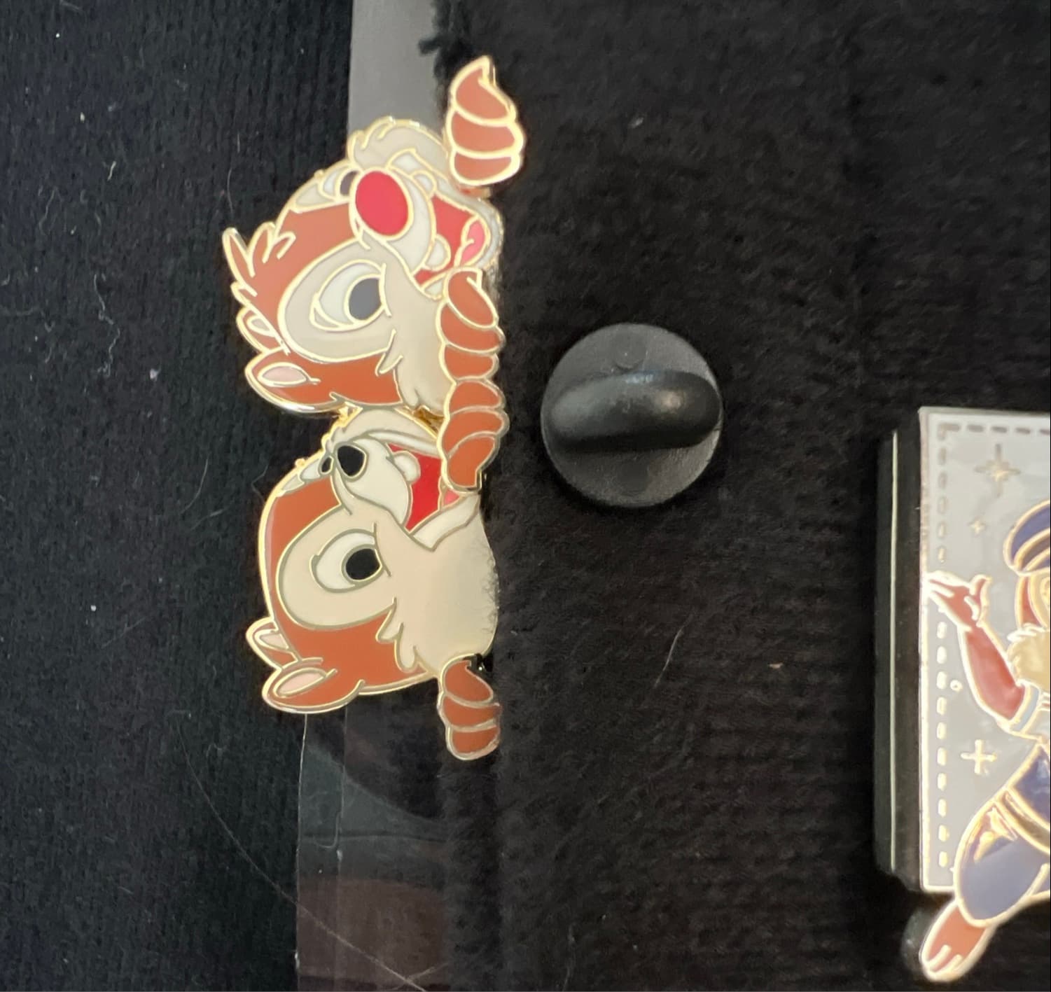 Crazy Chipmunks Peeking front