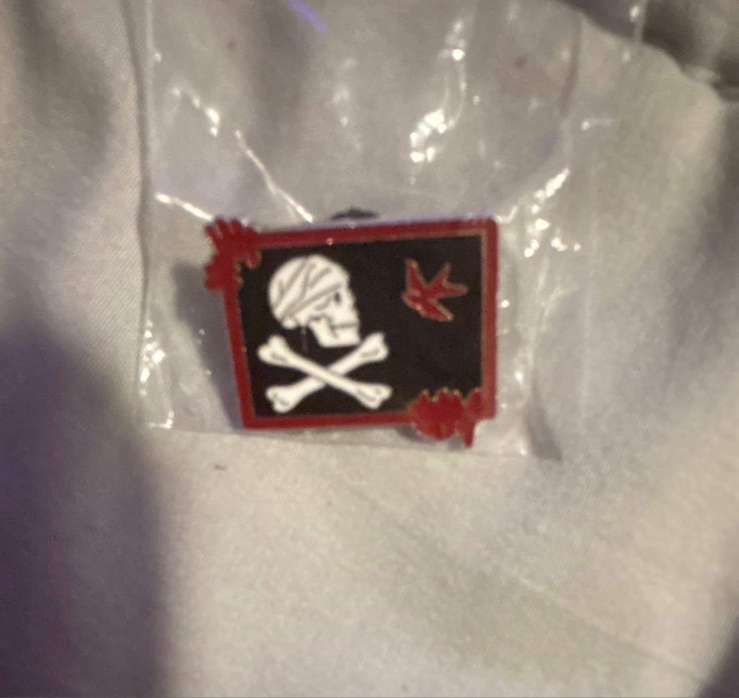 Pirates of the Caribbean Skull and Crossbones with Red Bird and Bat Wings front