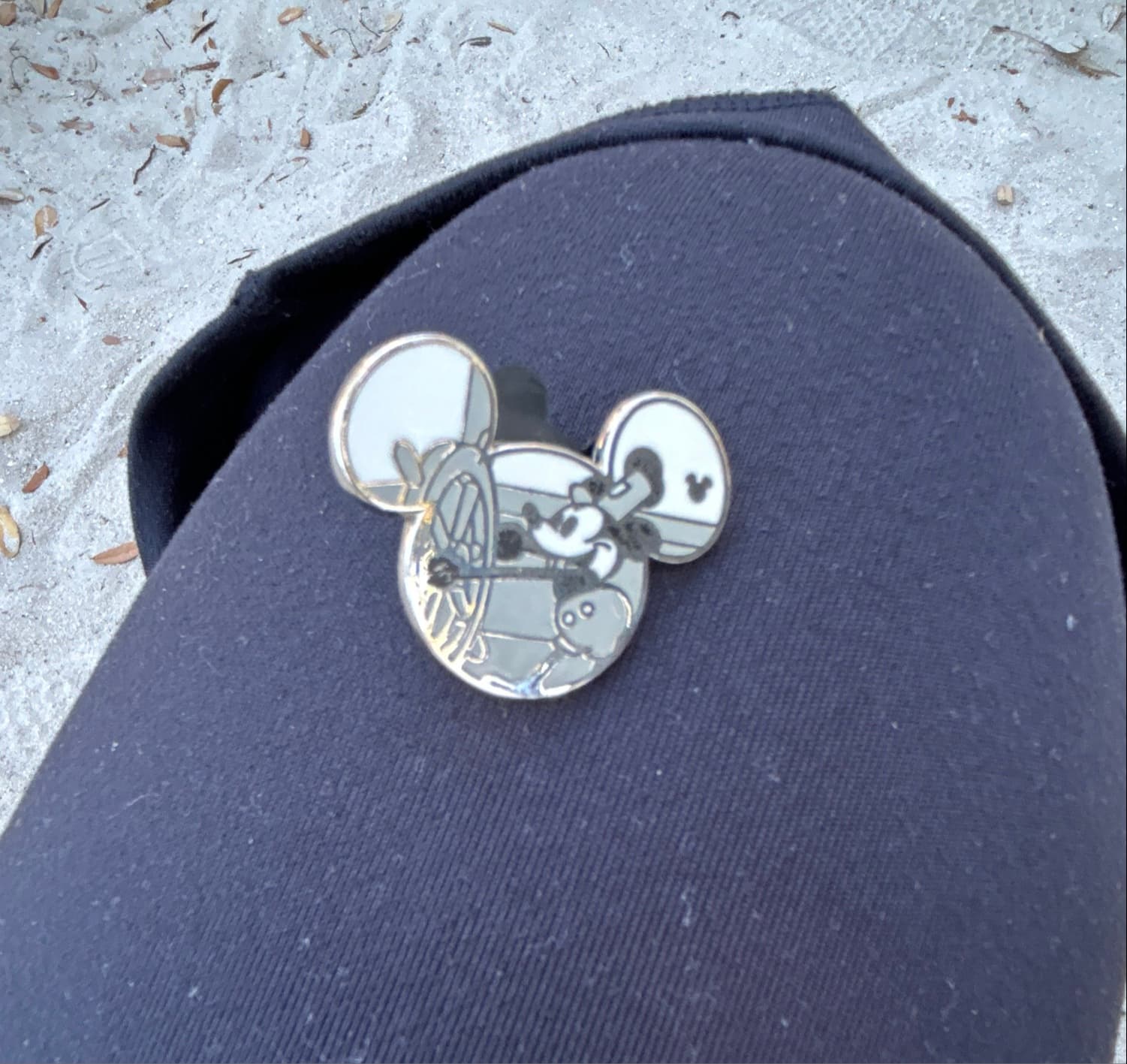 Steamboat Willie - 2019 Hidden Mickey - Disney Short Films front