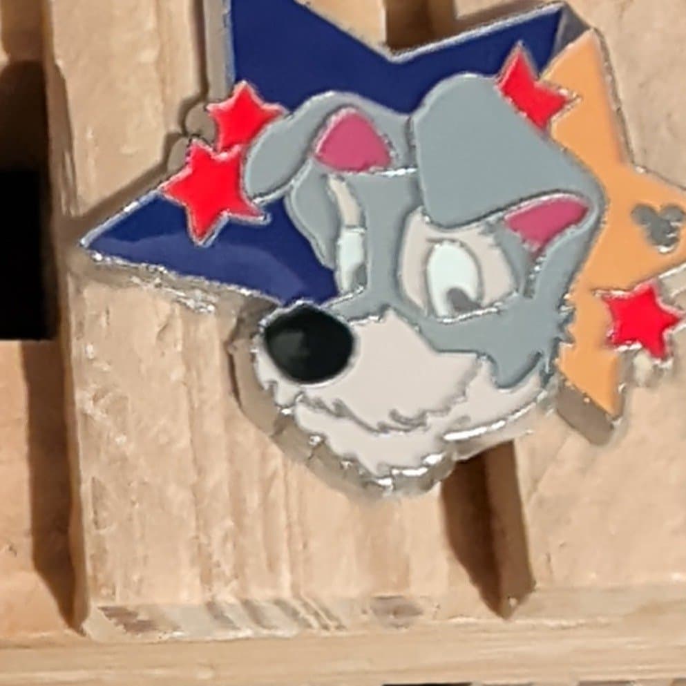 2012 Hidden Mickey - Star Characters - Tramp front