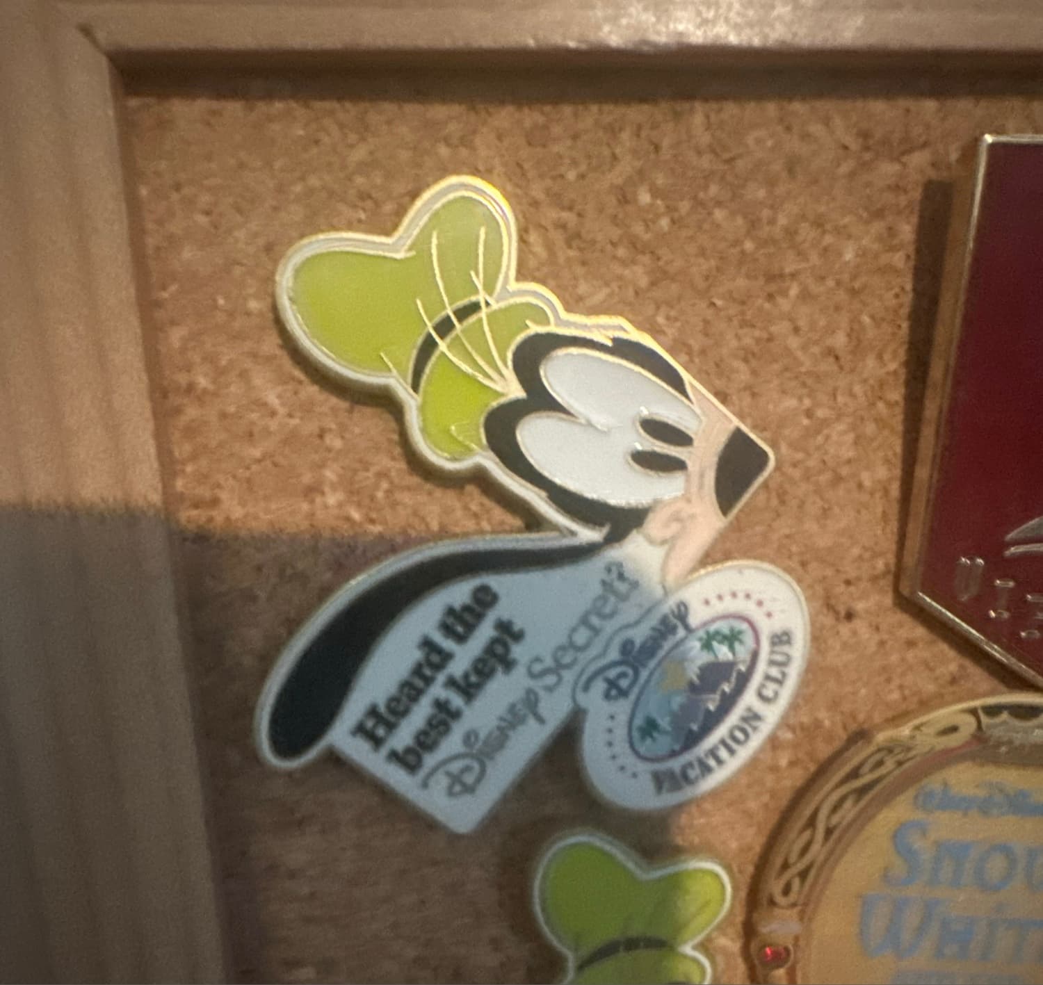 Goofy DVC Heard the Best Kept Disney Secret front