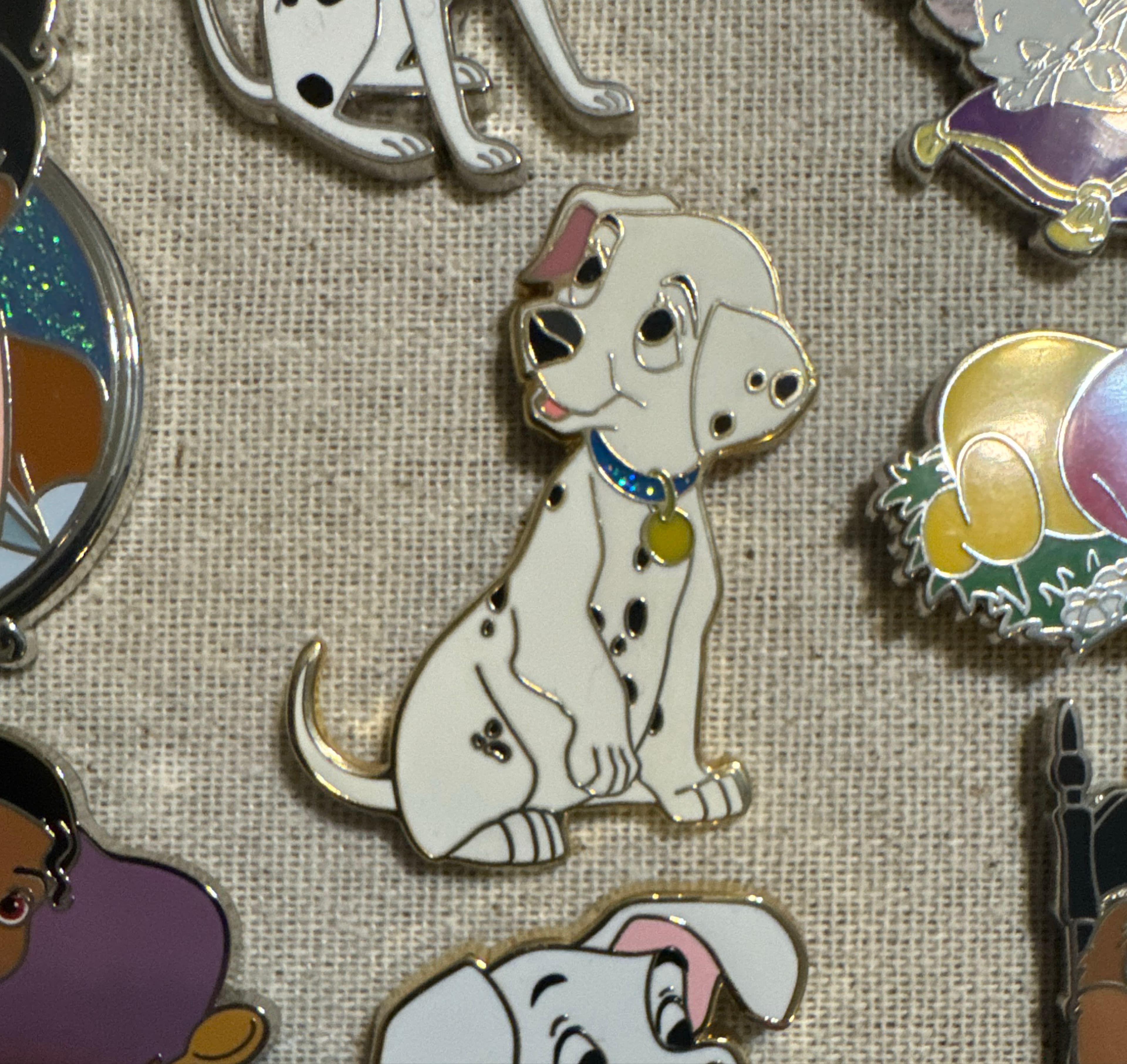 Dalmatian Puppy Penny Sitting with Blue Collar front