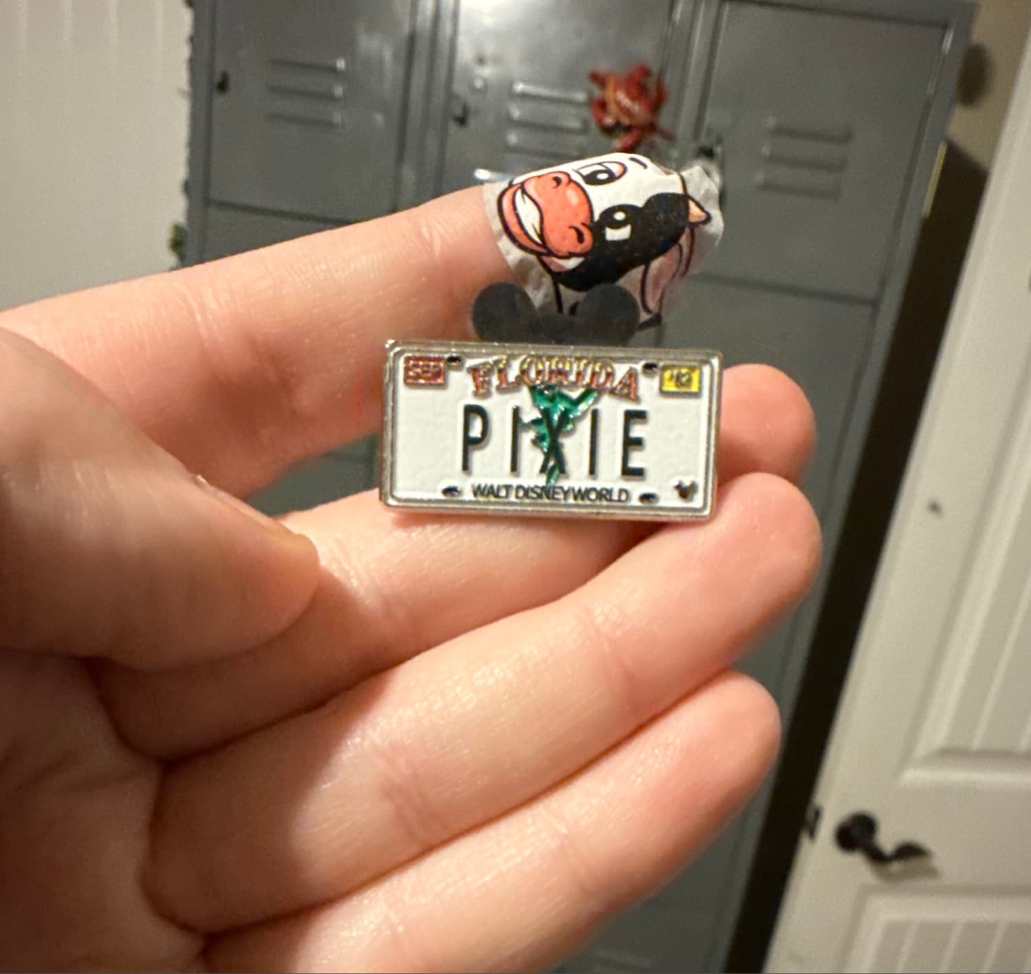 Disney License Plates front