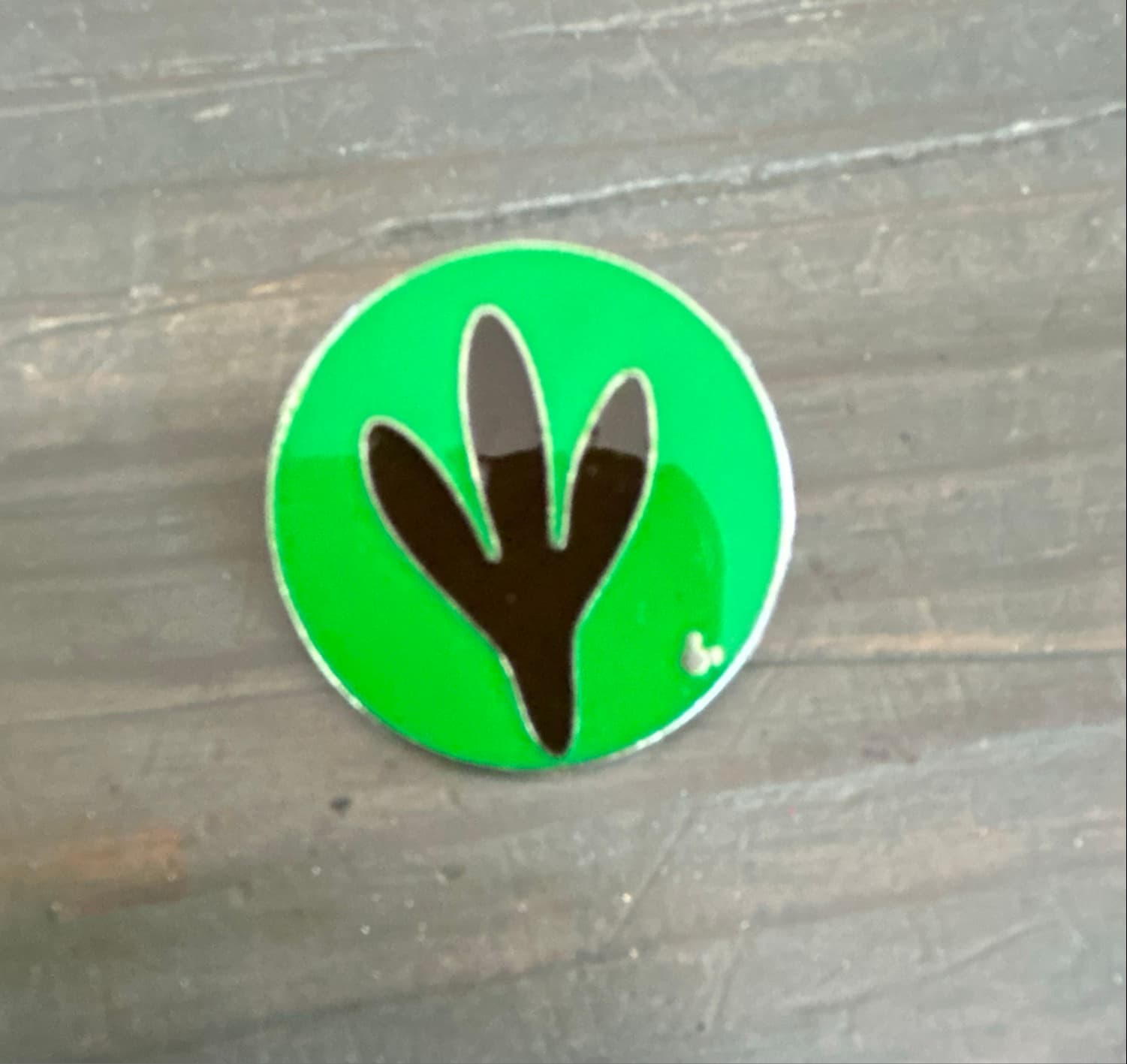Goofy Green Footprint Hidden Mickey Pin (3 of 4) front
