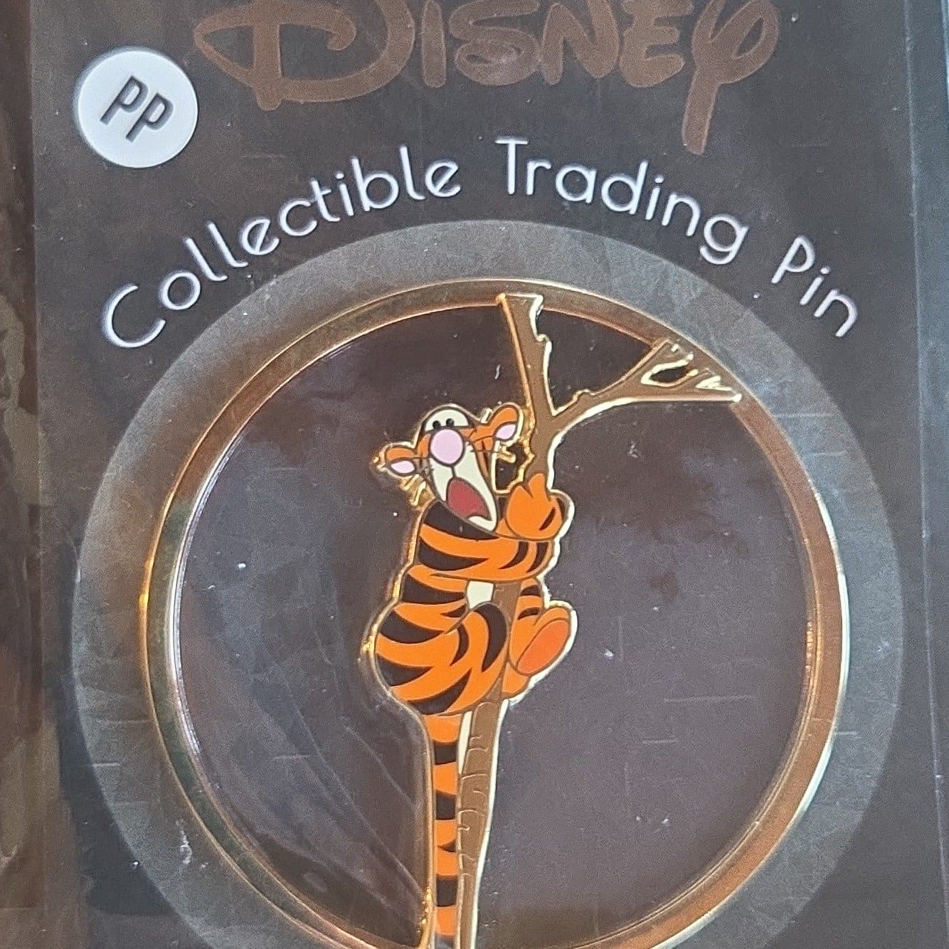 Tigger stuck in a tree front