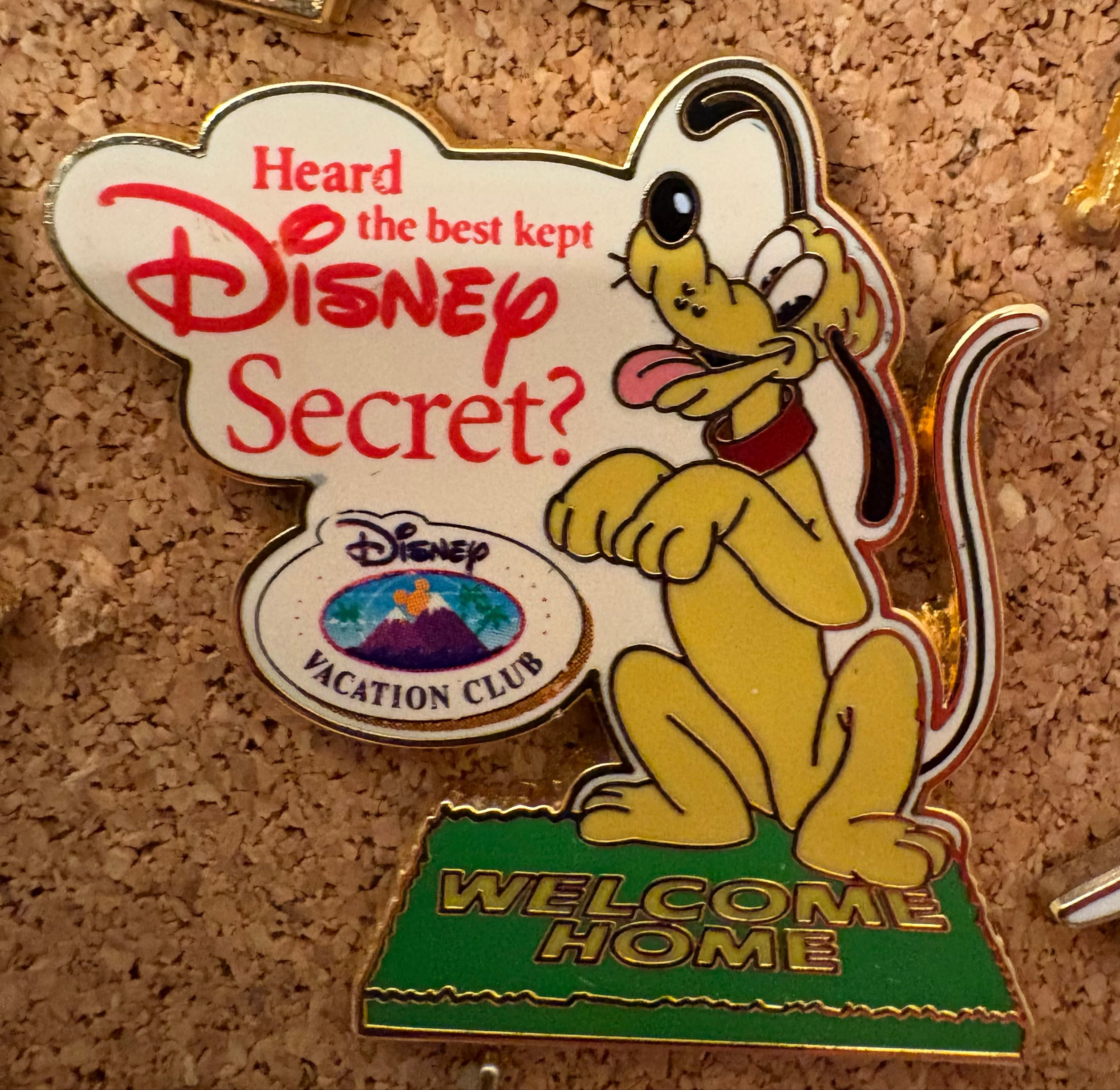 Pluto - Heard the Best Kept Disney Secret? Welcome Home front