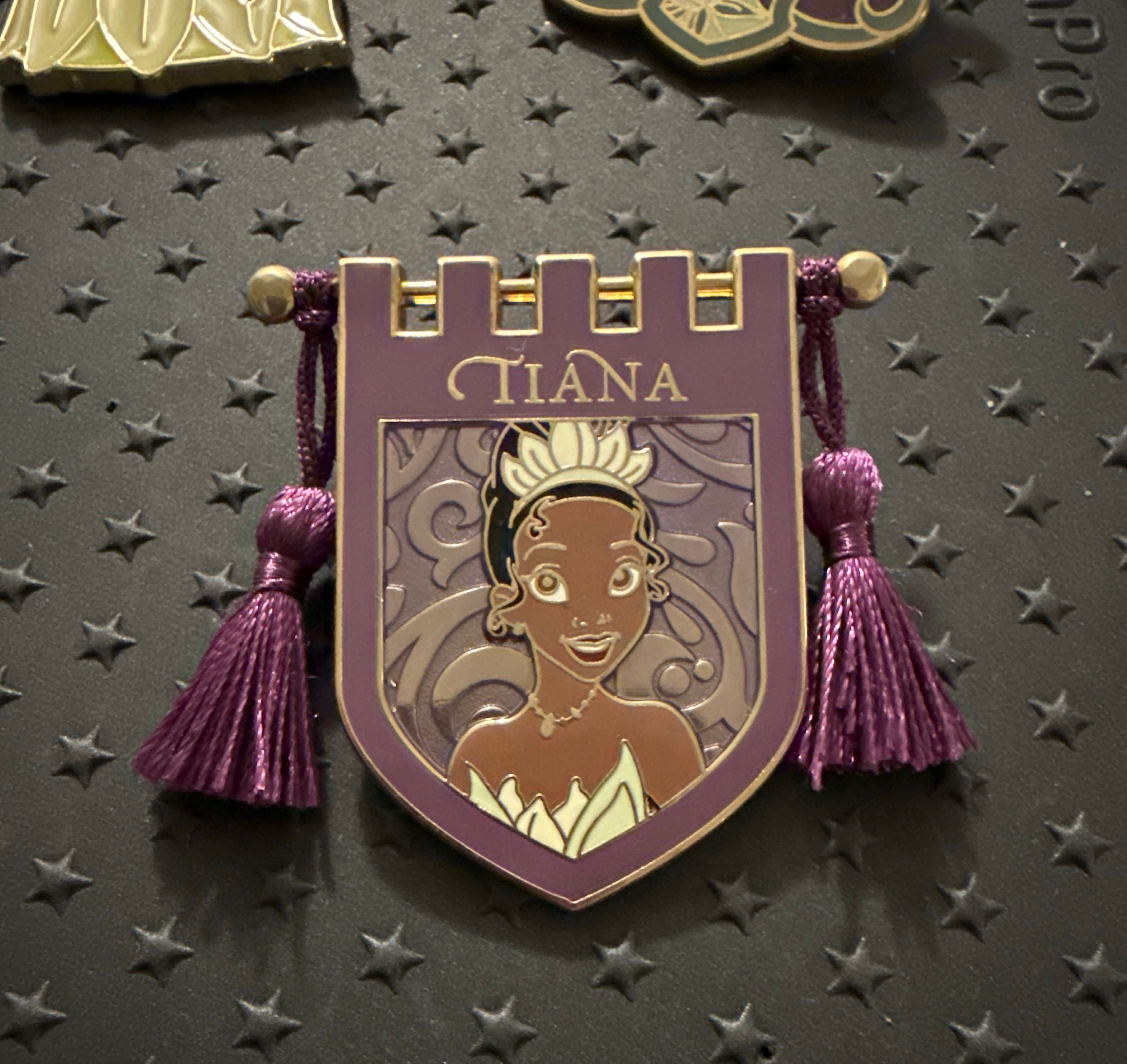 Princess Tiana Crest Banner with Tassels front
