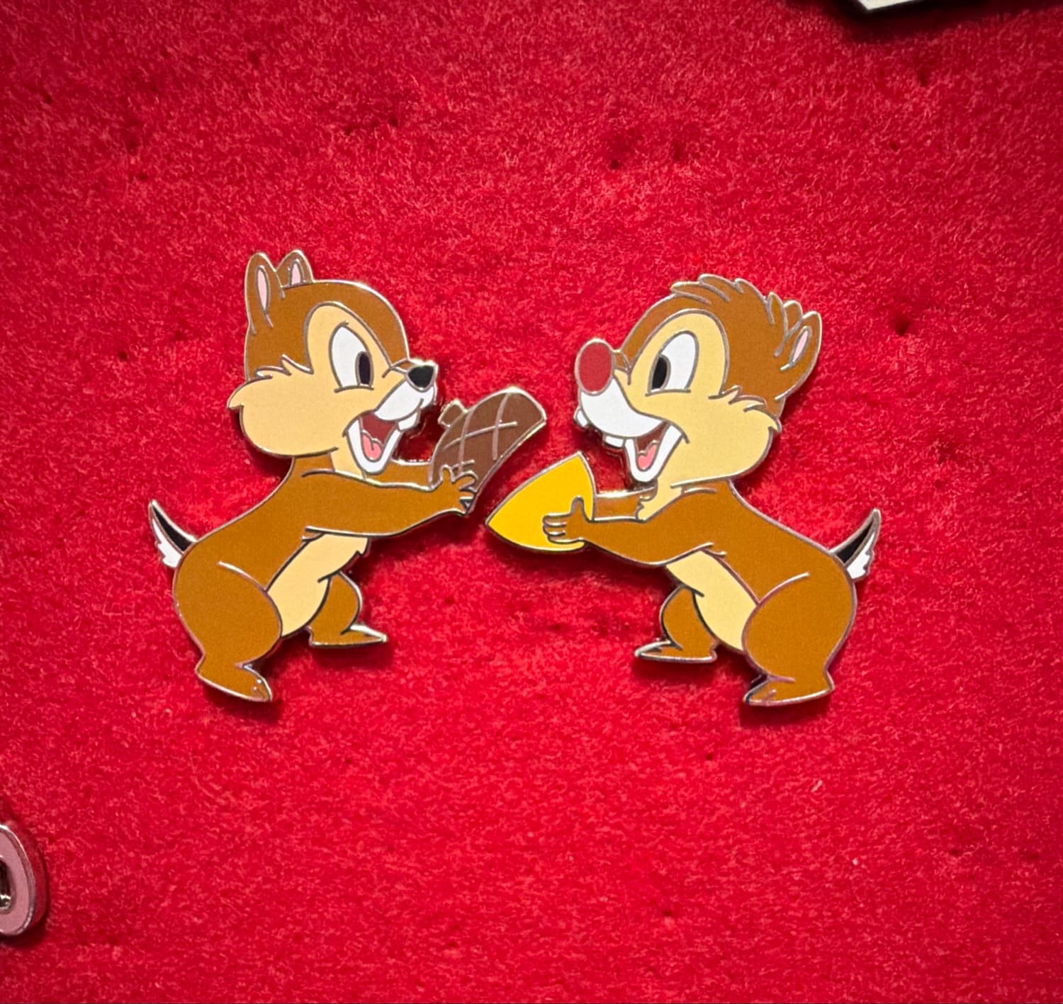 Chip & Dale Holding Acorns front
