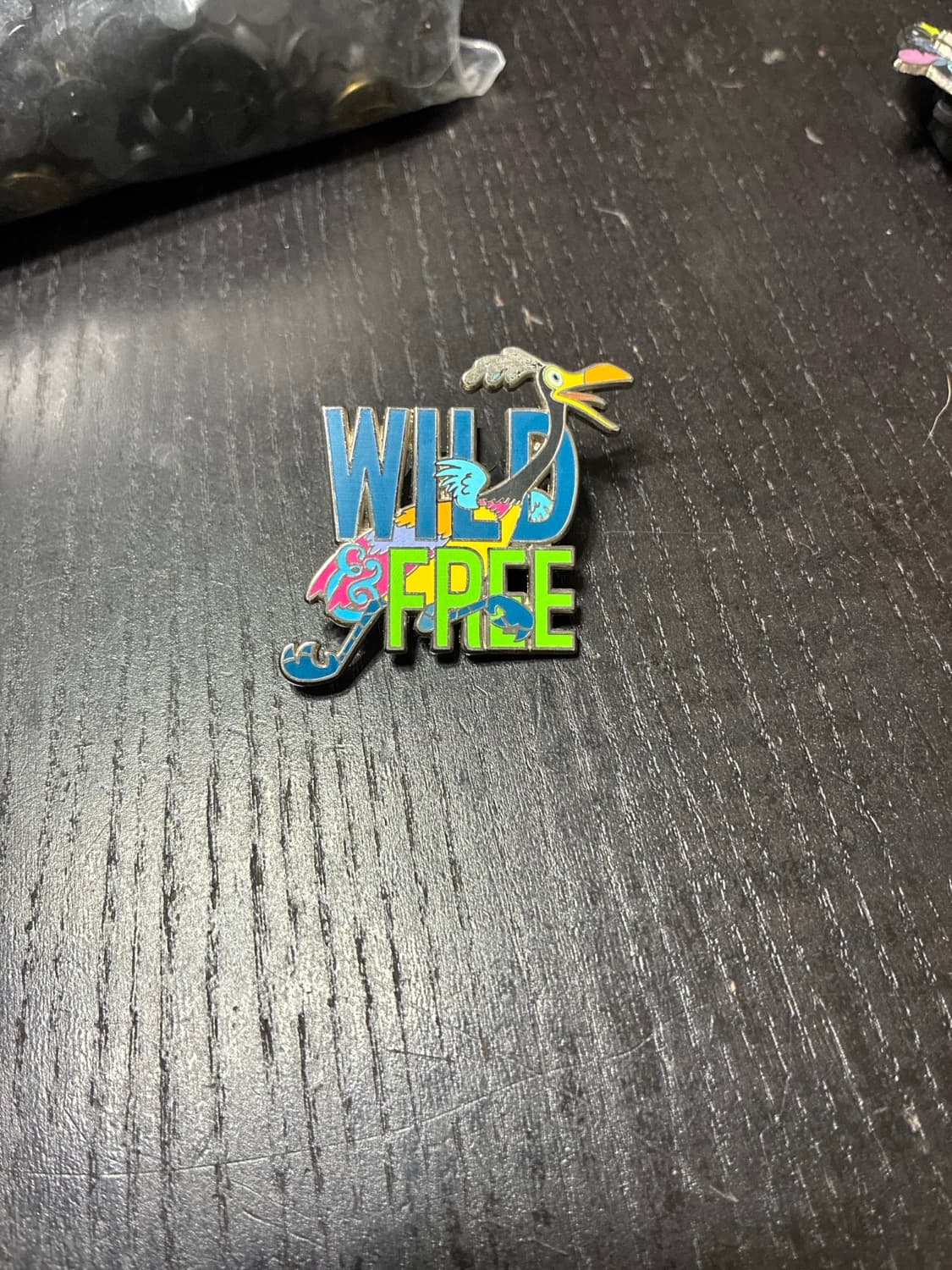 Kevin - Wild and Free - Up front