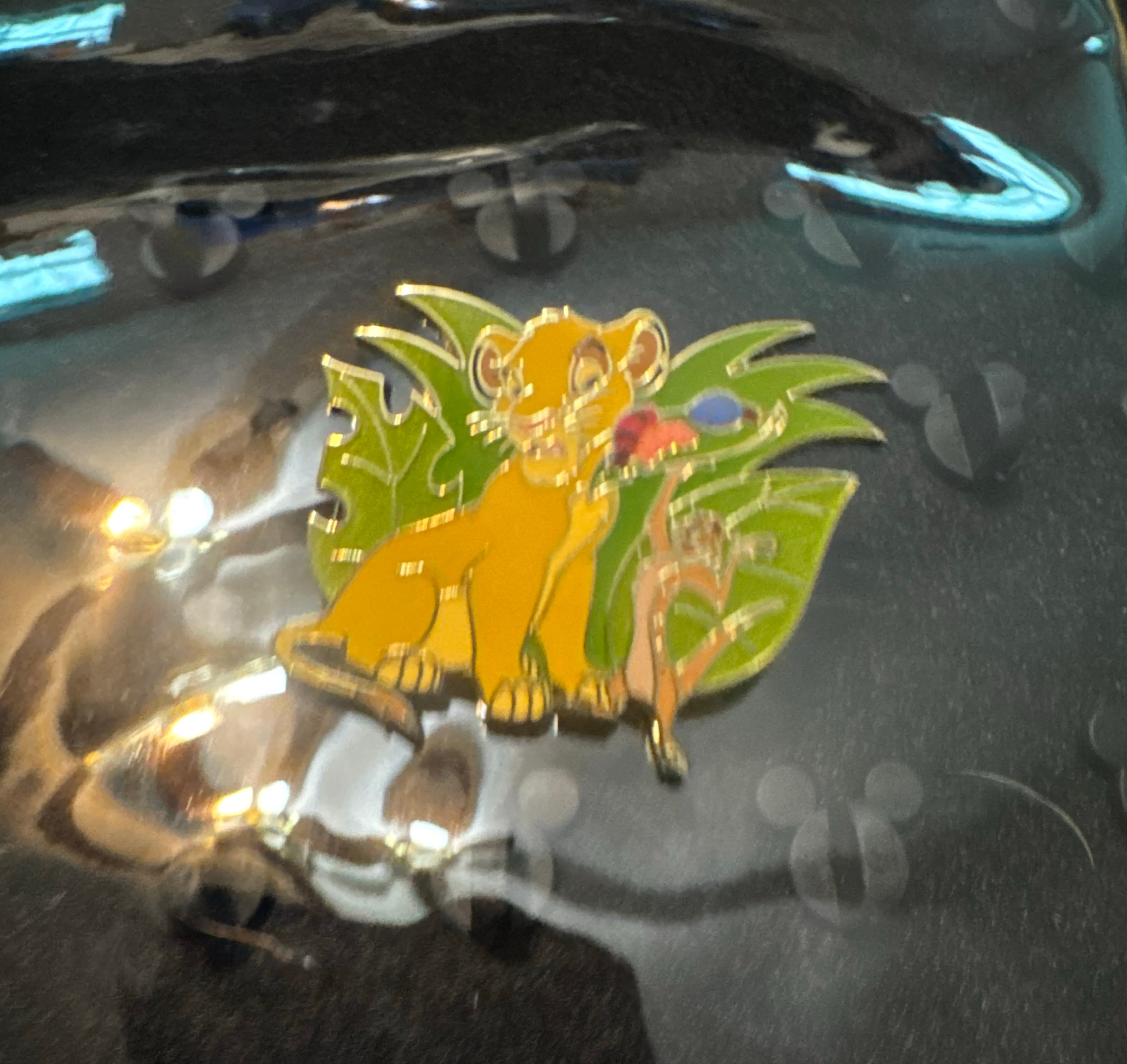 Timon Offering Bugs to Simba front