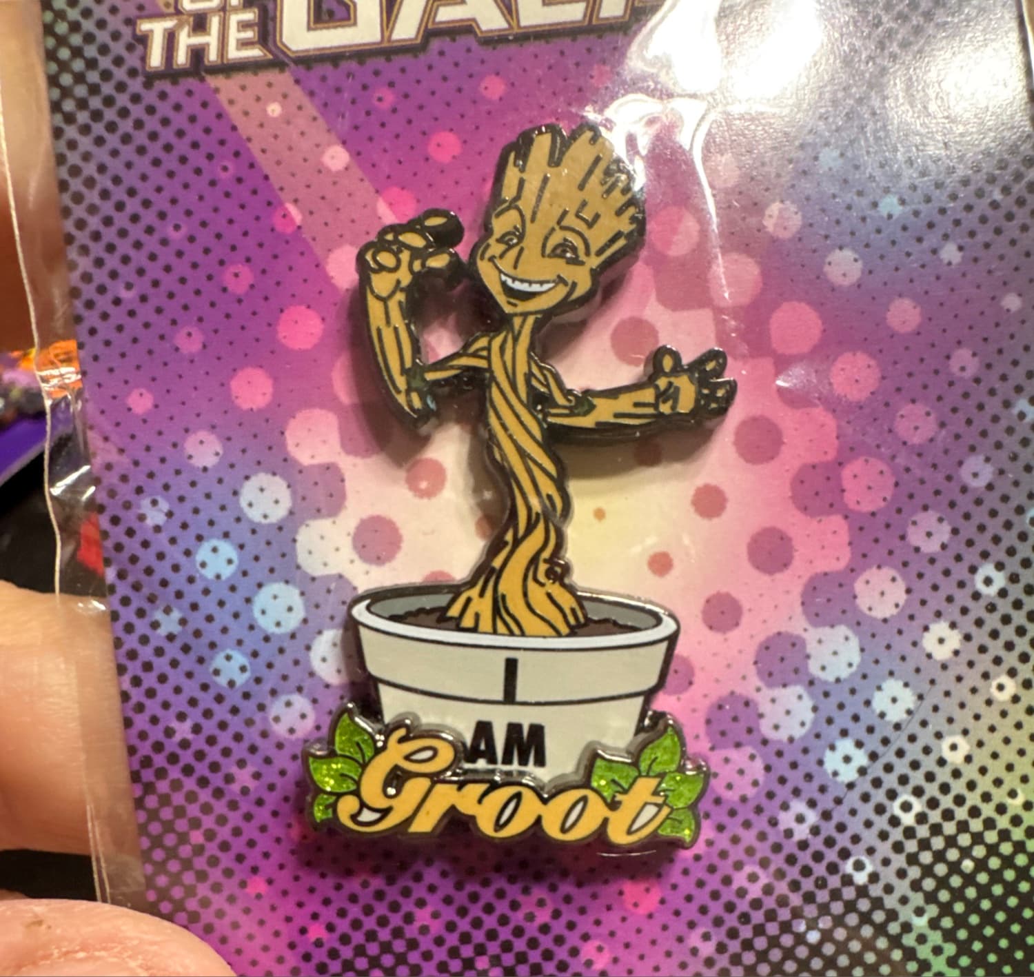 I Am Groot with Succulent Plant front