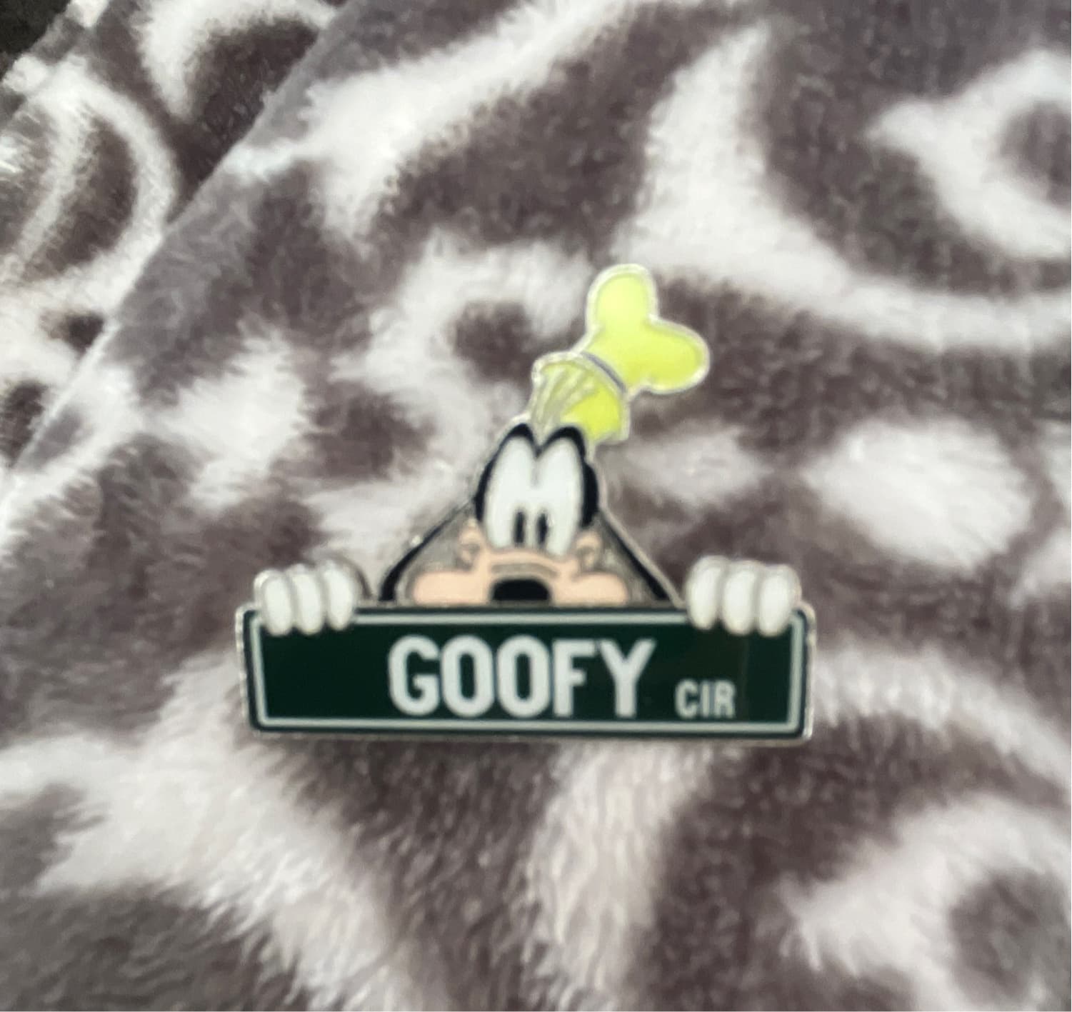 Goofy Cir front