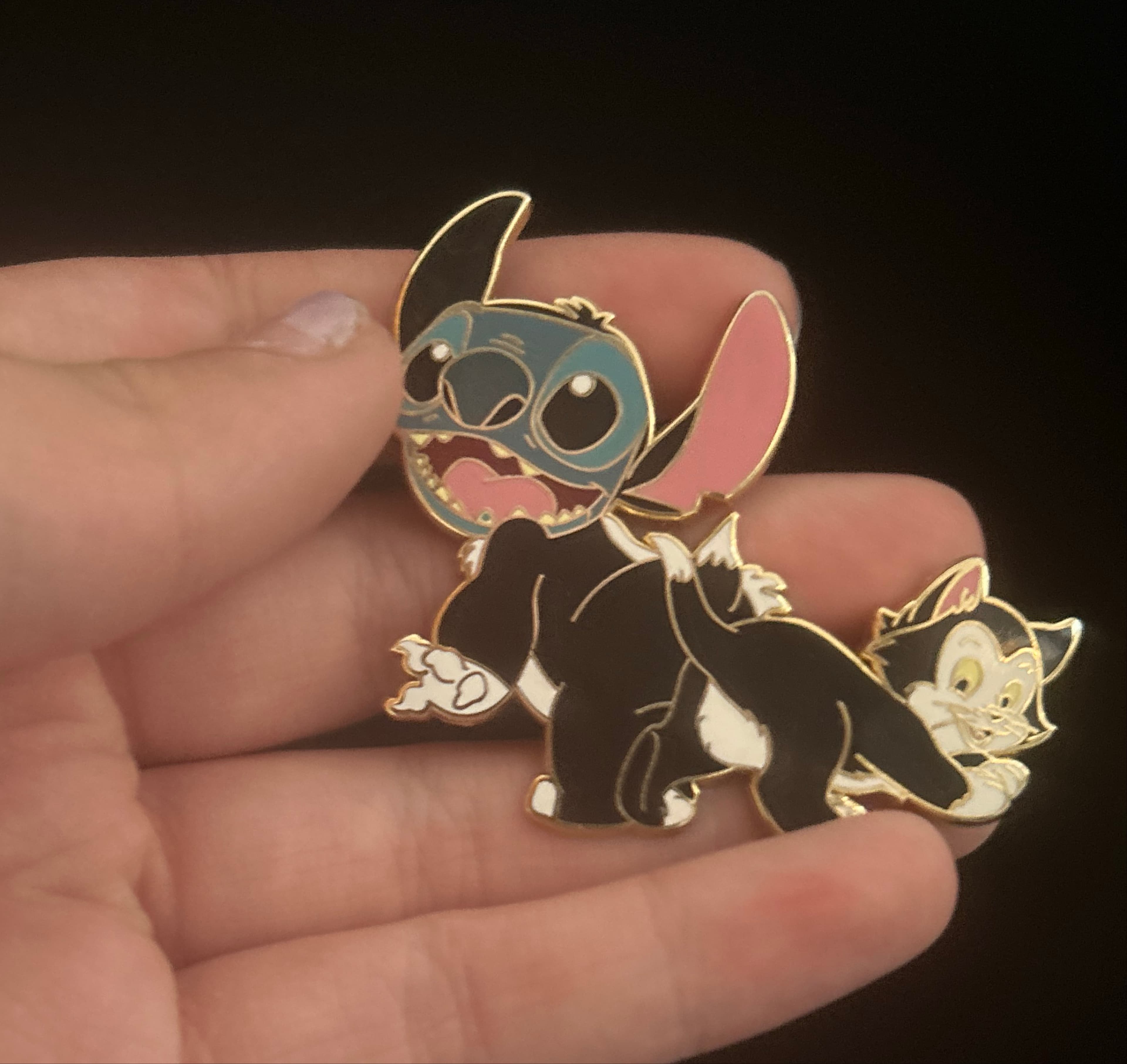 Stitch and Figaro front