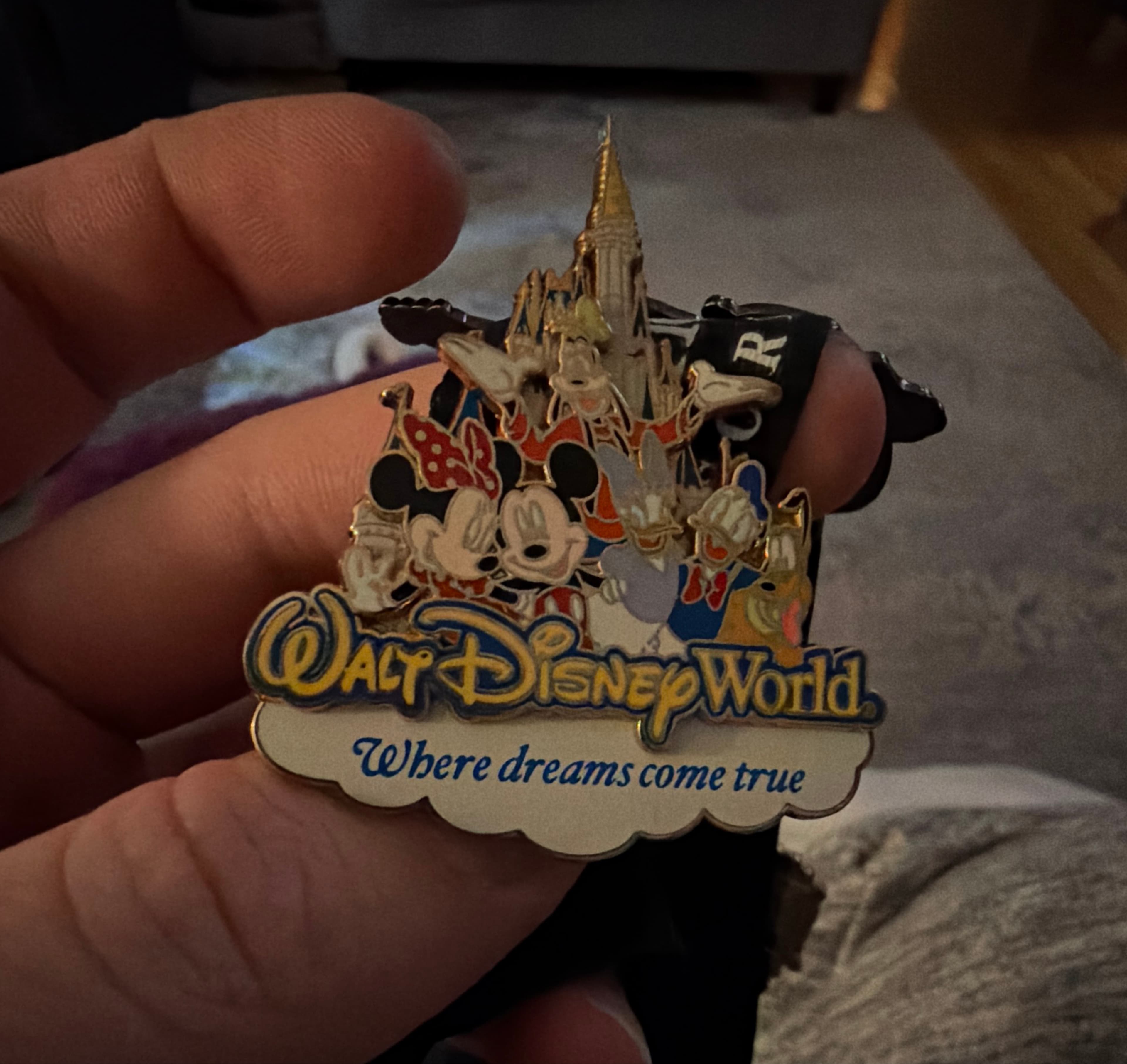 Mickey and Friends Where Dreams Come True Cinderella Castle front