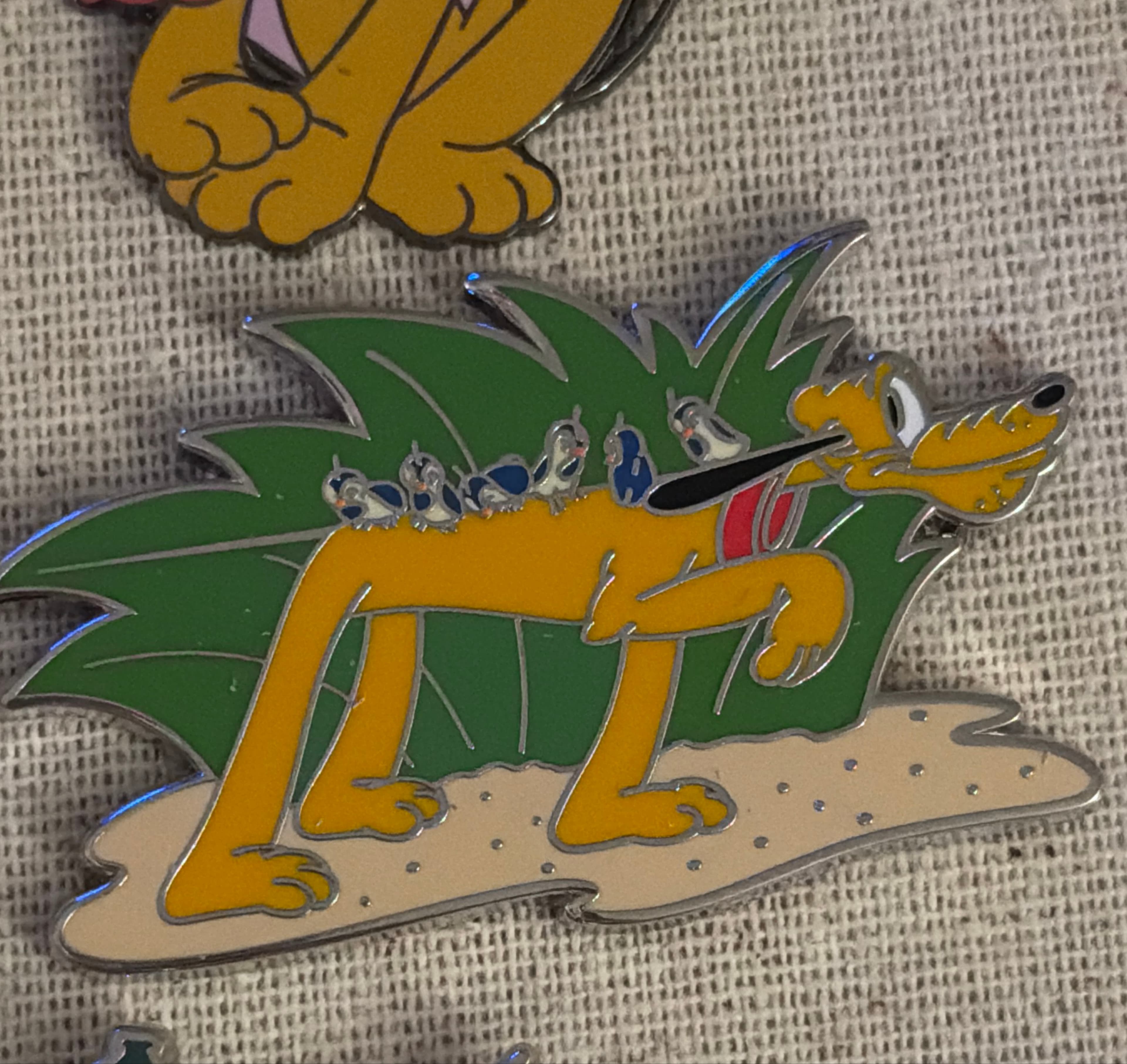 Pluto the Pointer with Birds front