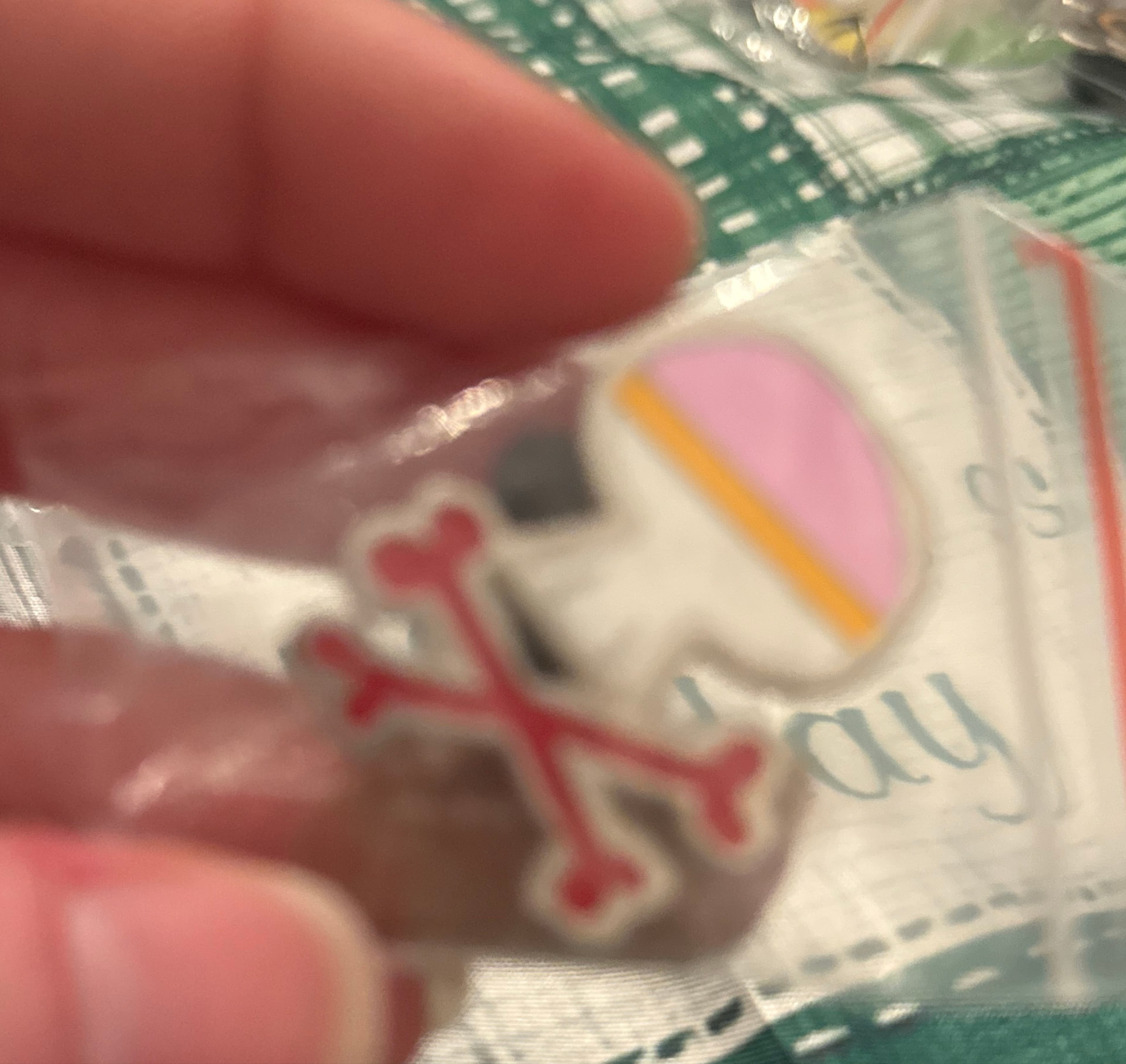 Jolly Roger Pirate Symbol - Treasure Planet front