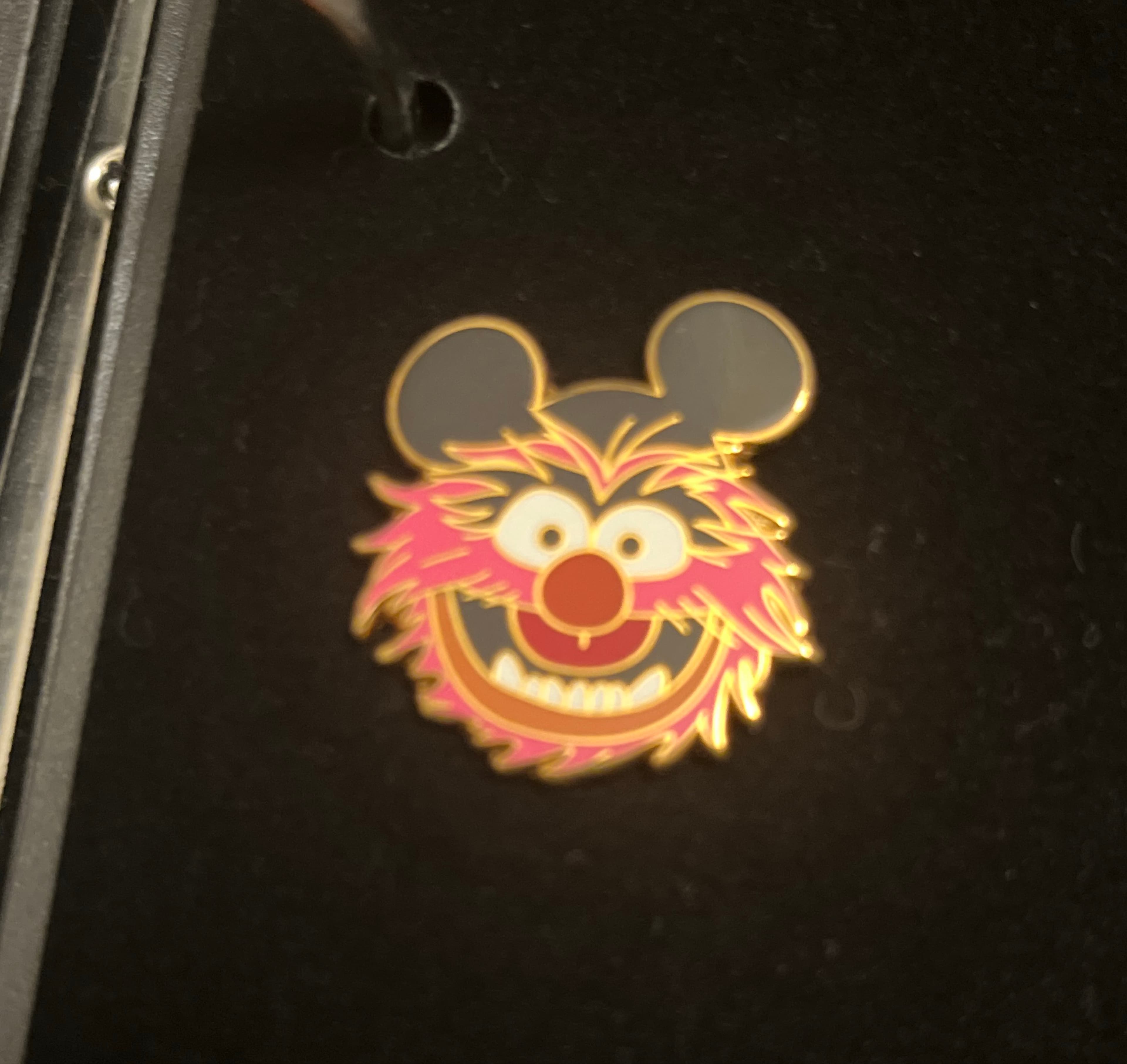 Animal with a Mickey Hat front