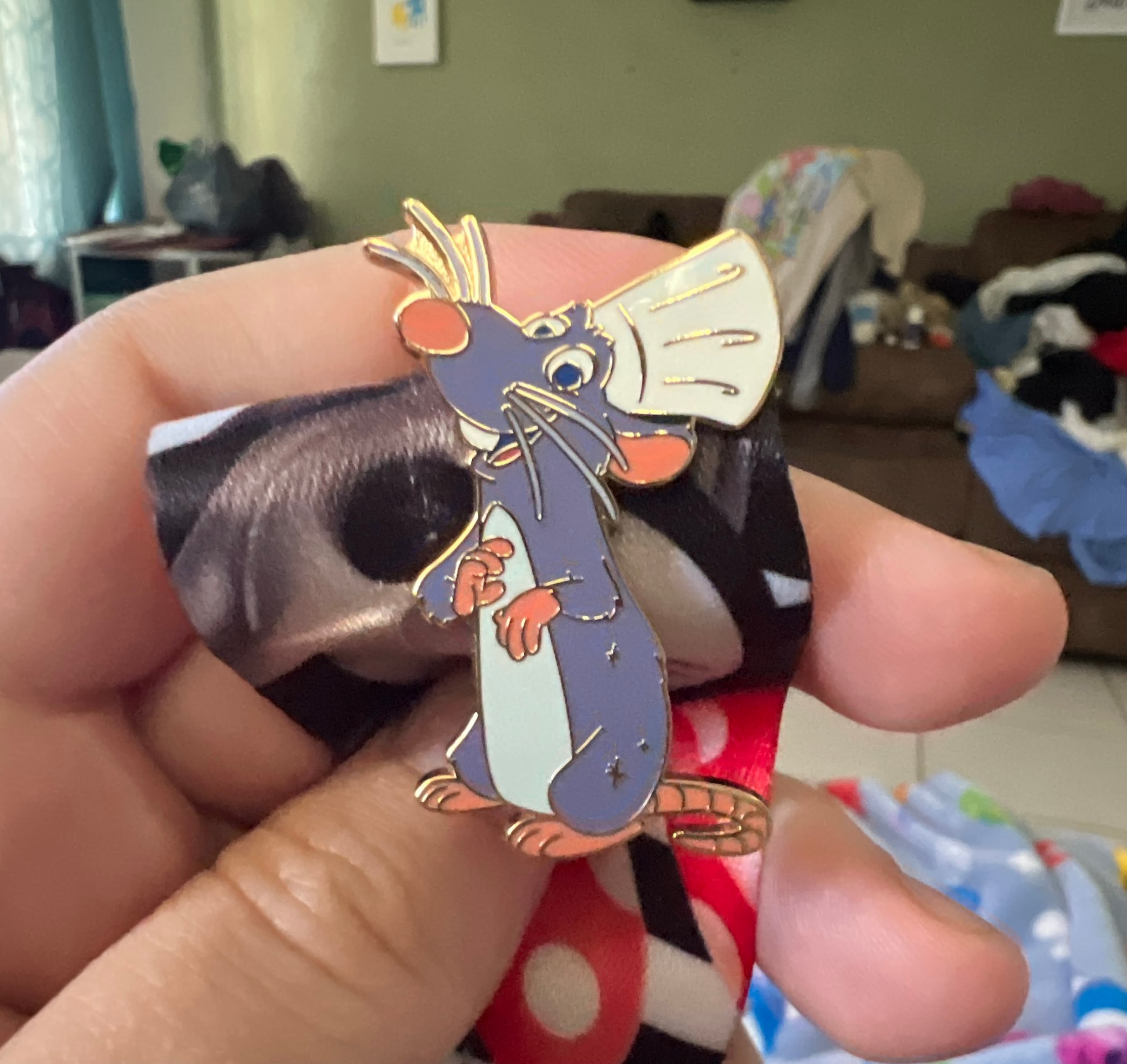 Remy Disney 50 front