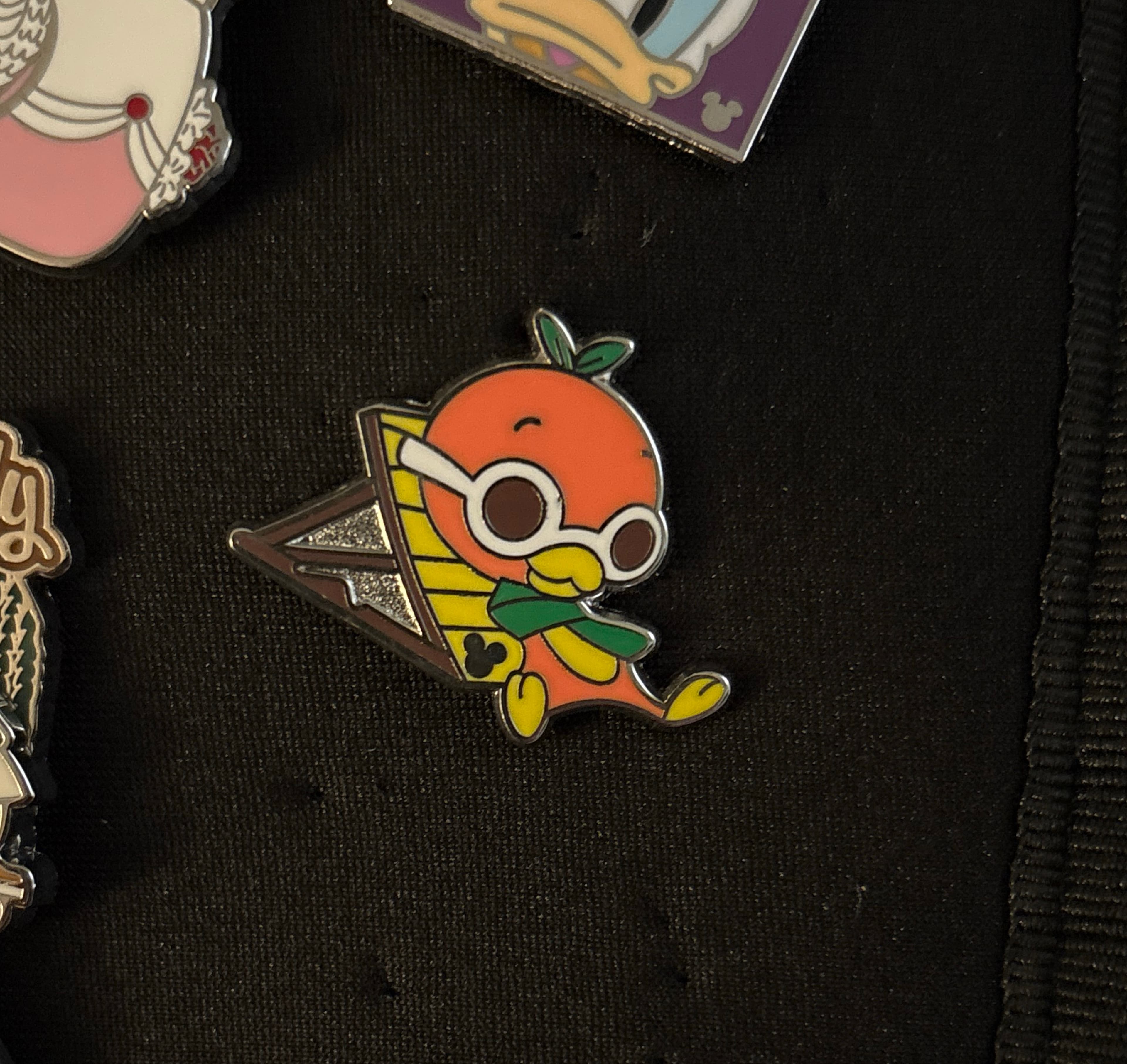 Orange Bird Sunbathing - Hidden Mickey 2011 front