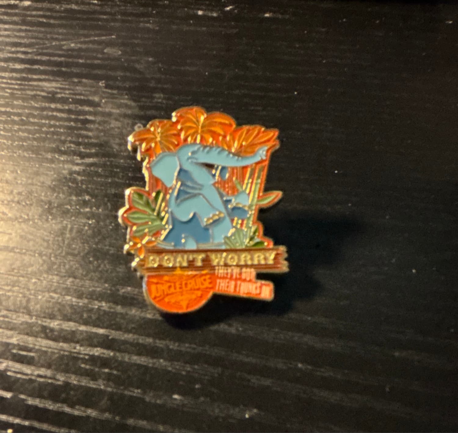 Disney Jungle Cruise Elephant Don't Worry They've Got Their Trunks On Pin front