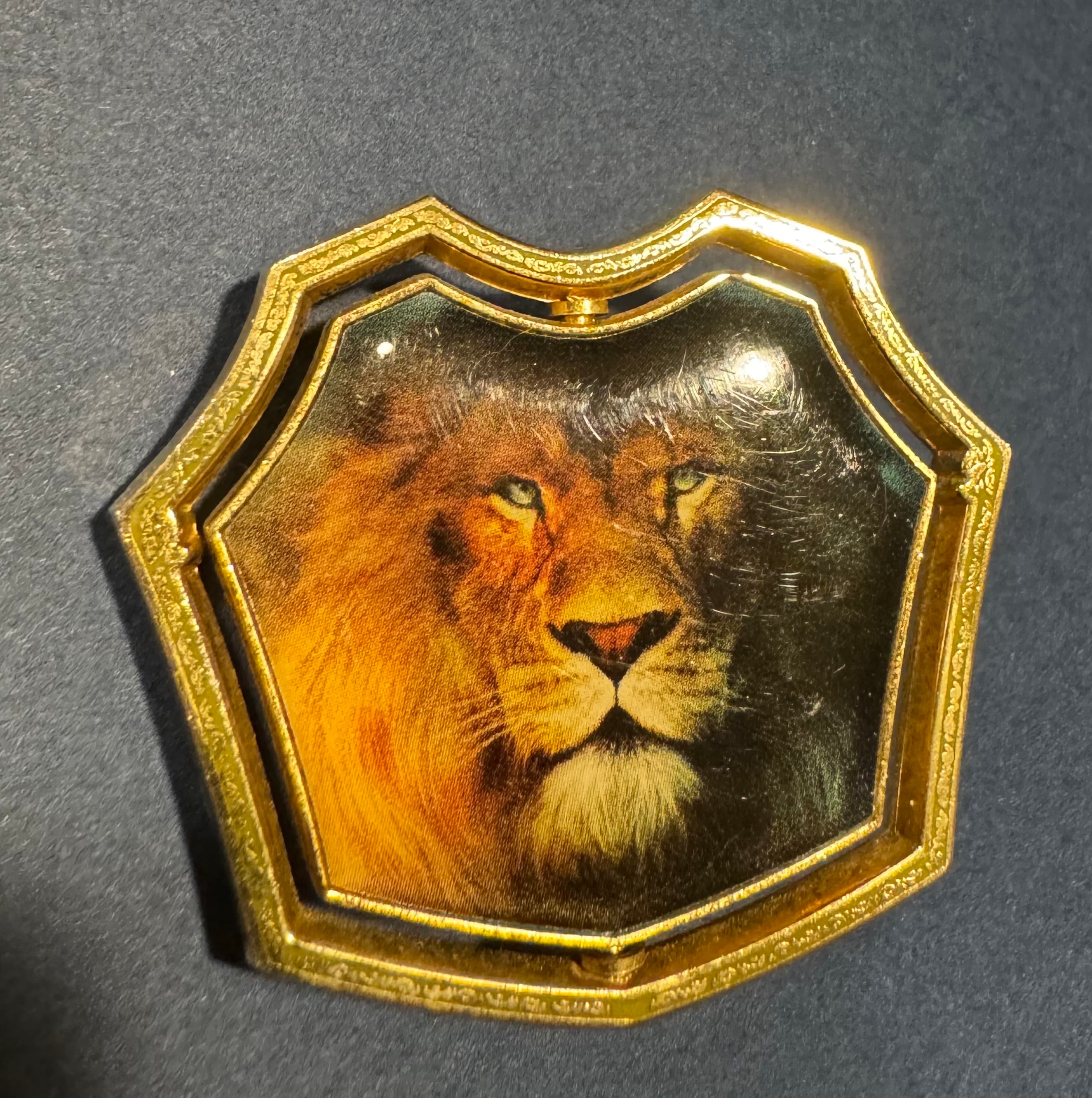 Disney Chronicles of Narnia Collectible Spinning Aslan Face Pin front