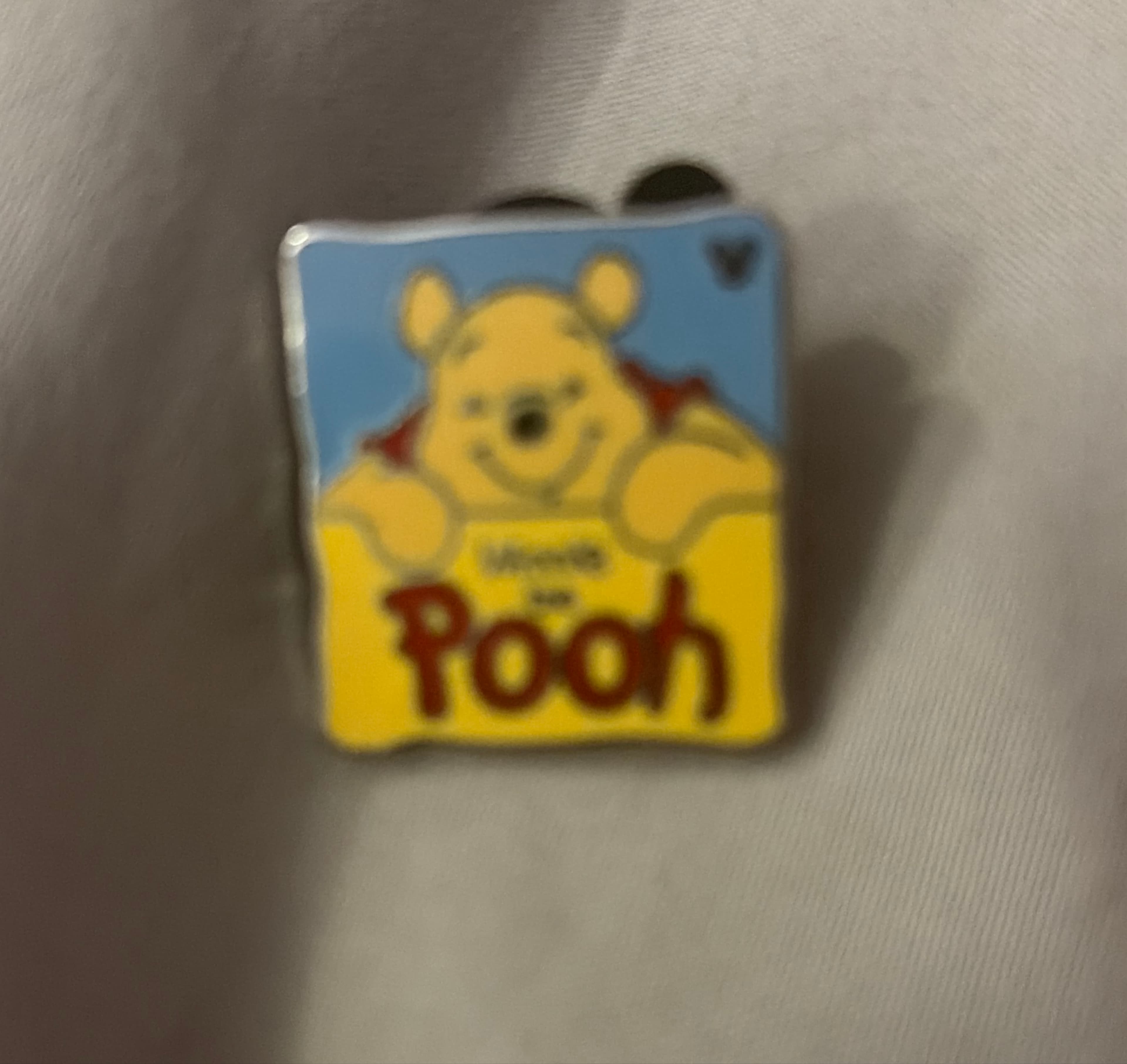 Winnie the Pooh - Pooh and Friends - WDW Hidden Mickey 2012: Wave A front