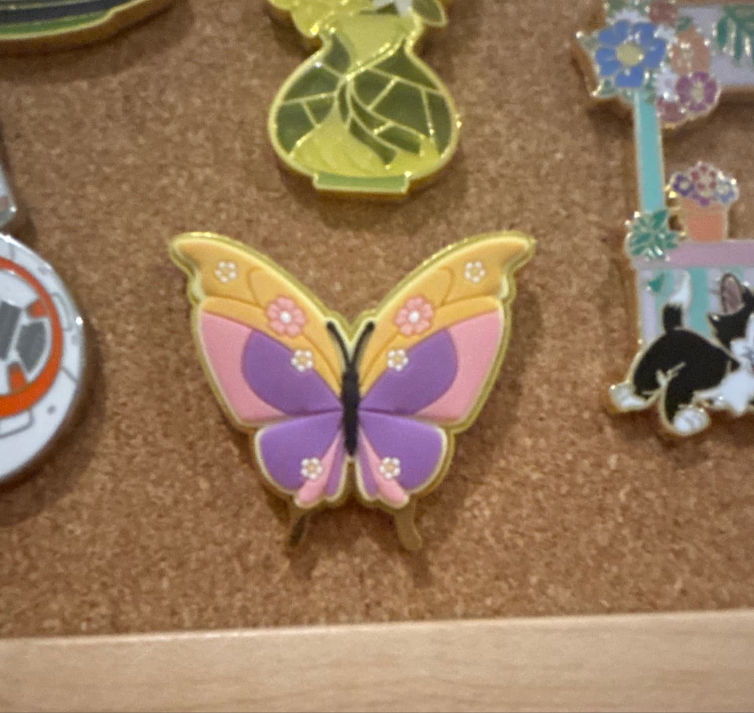 Rapunzel butterfly front