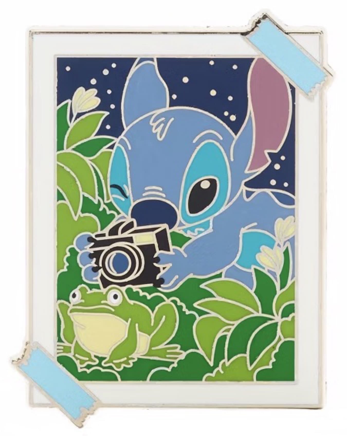 Stitch Photographing a Frog front