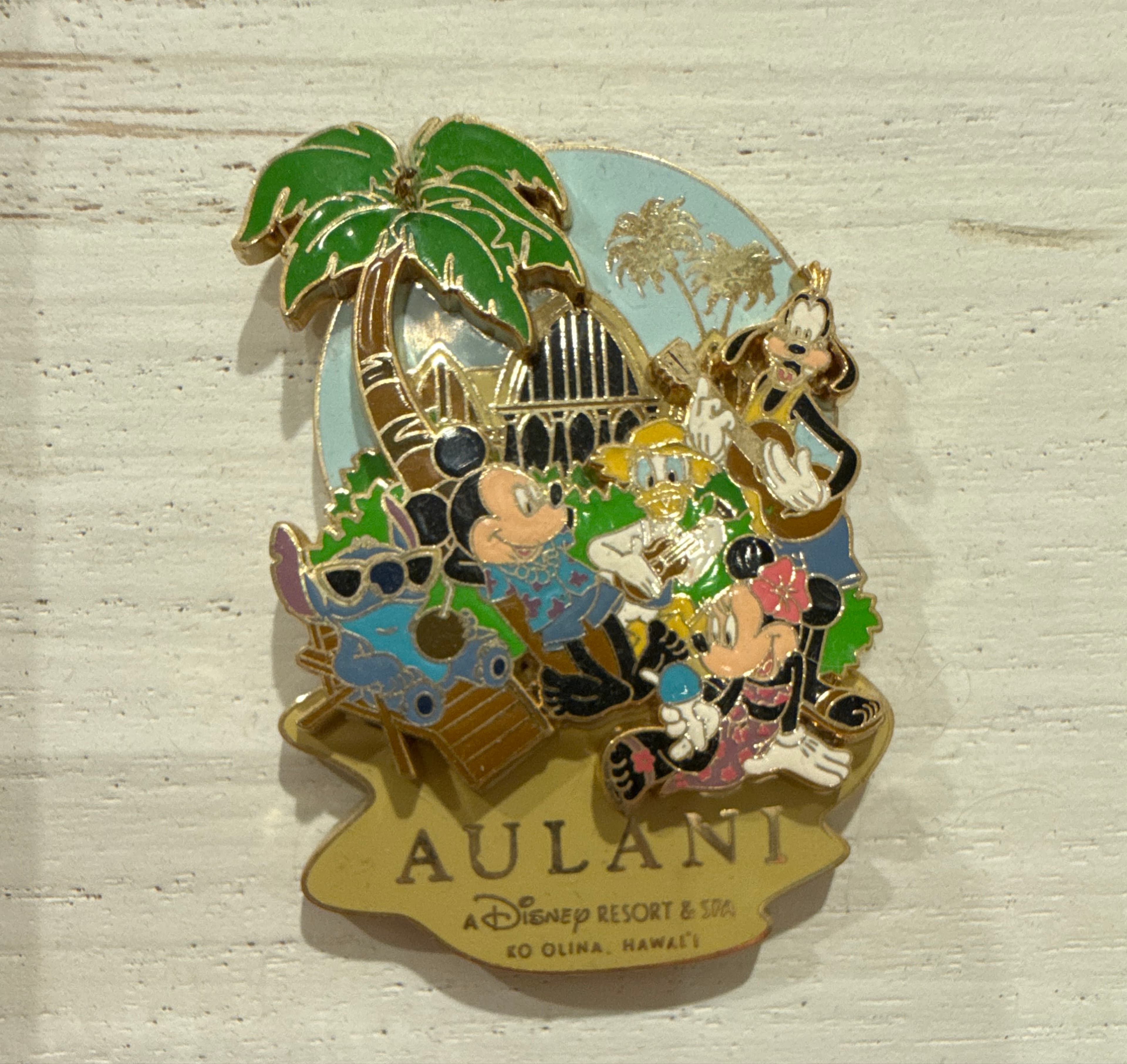 DVC with Stitch front