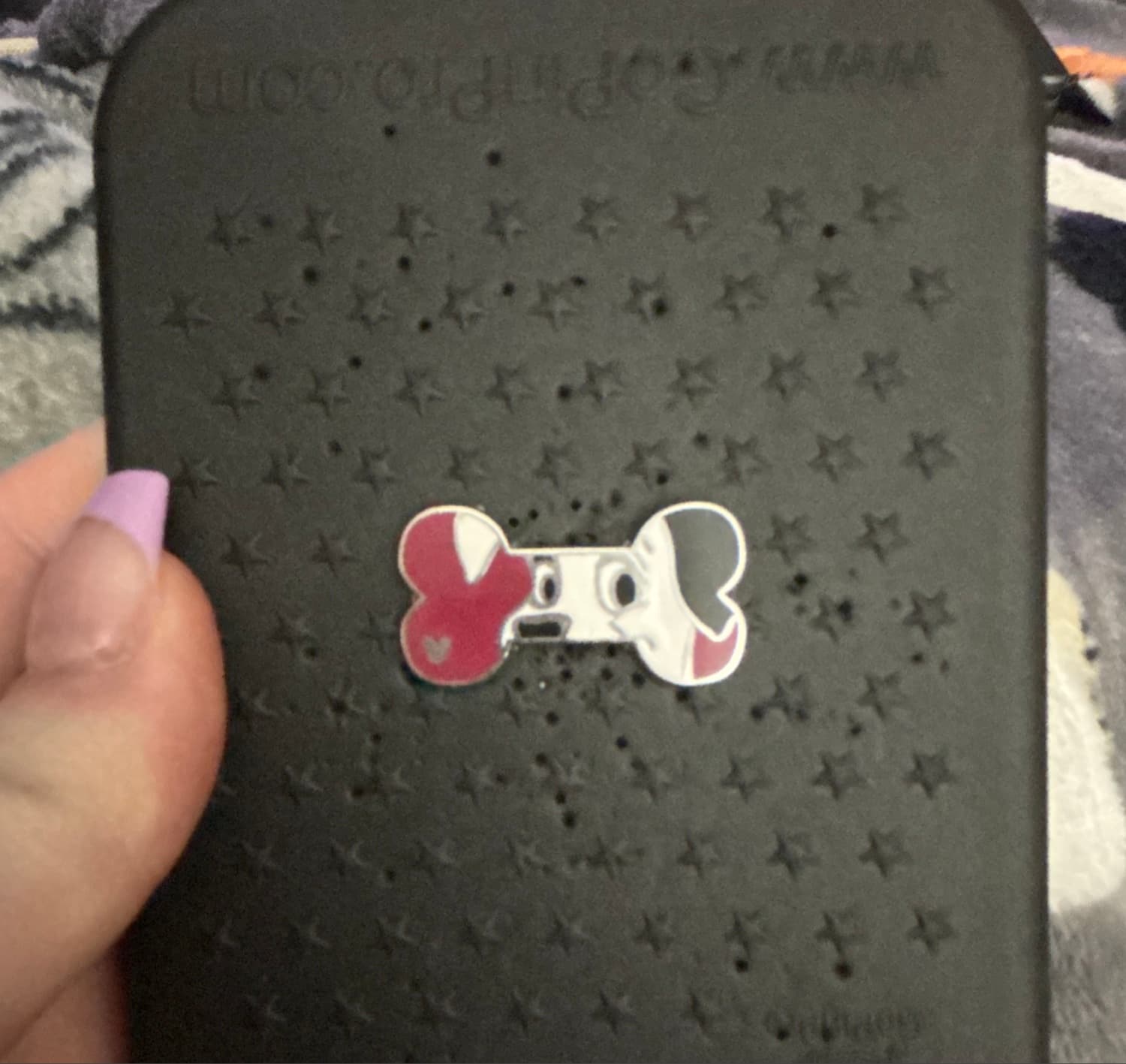 Hidden Mickey Dog Bones Pin front